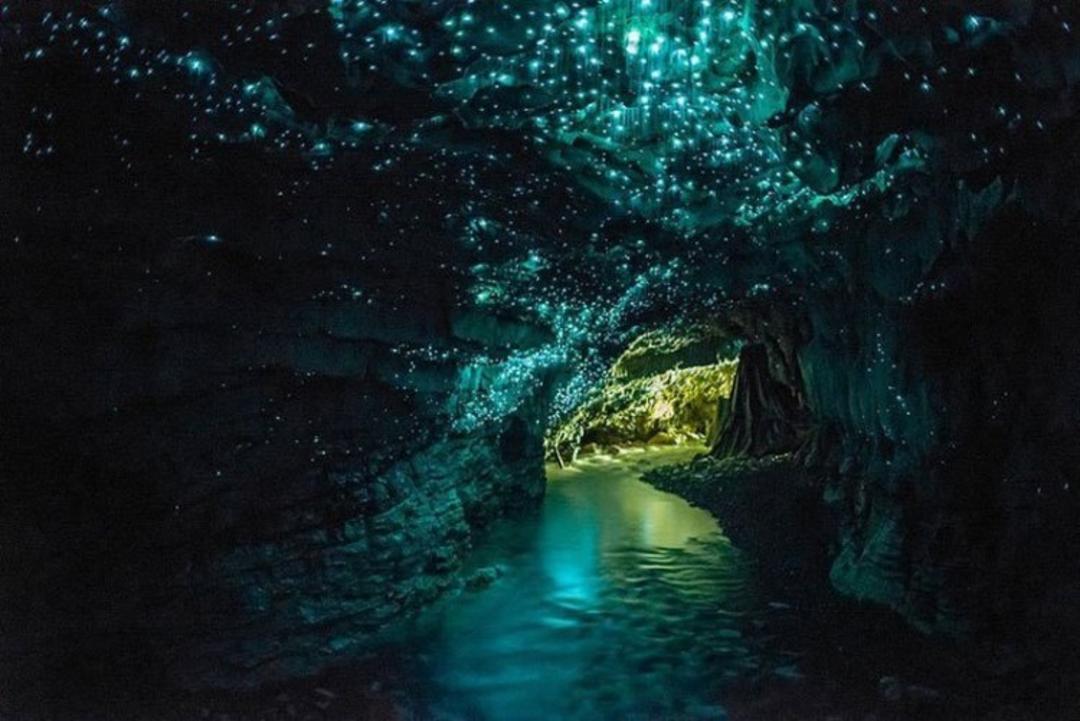 2015-10-waitomo-glowworm-caves-north-island-new-zealand