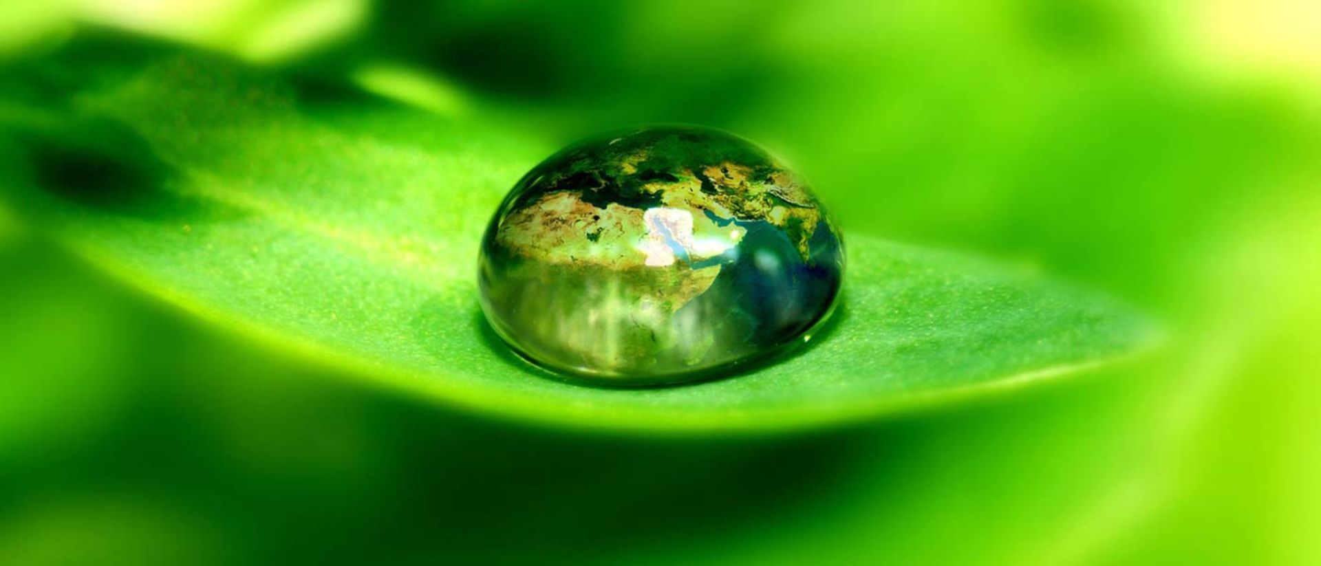 2015-10-world-on-green-leaf_wallpaper187484