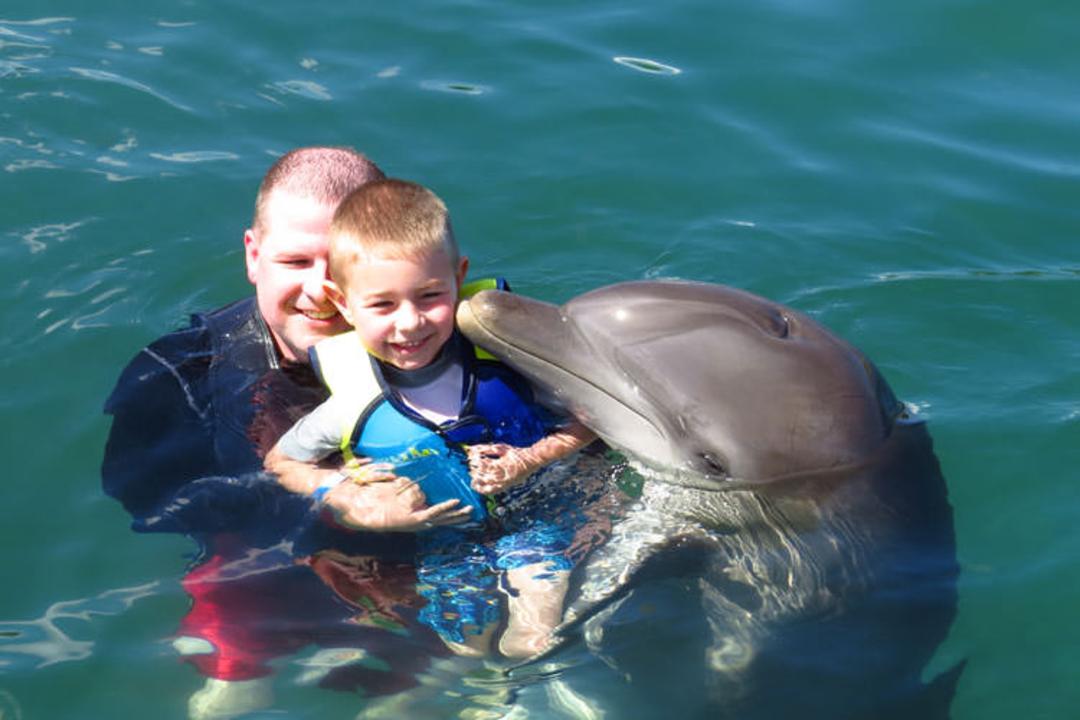 2015-11-2014-03-06-jamaica-trip-dolphin-cove-0488489488