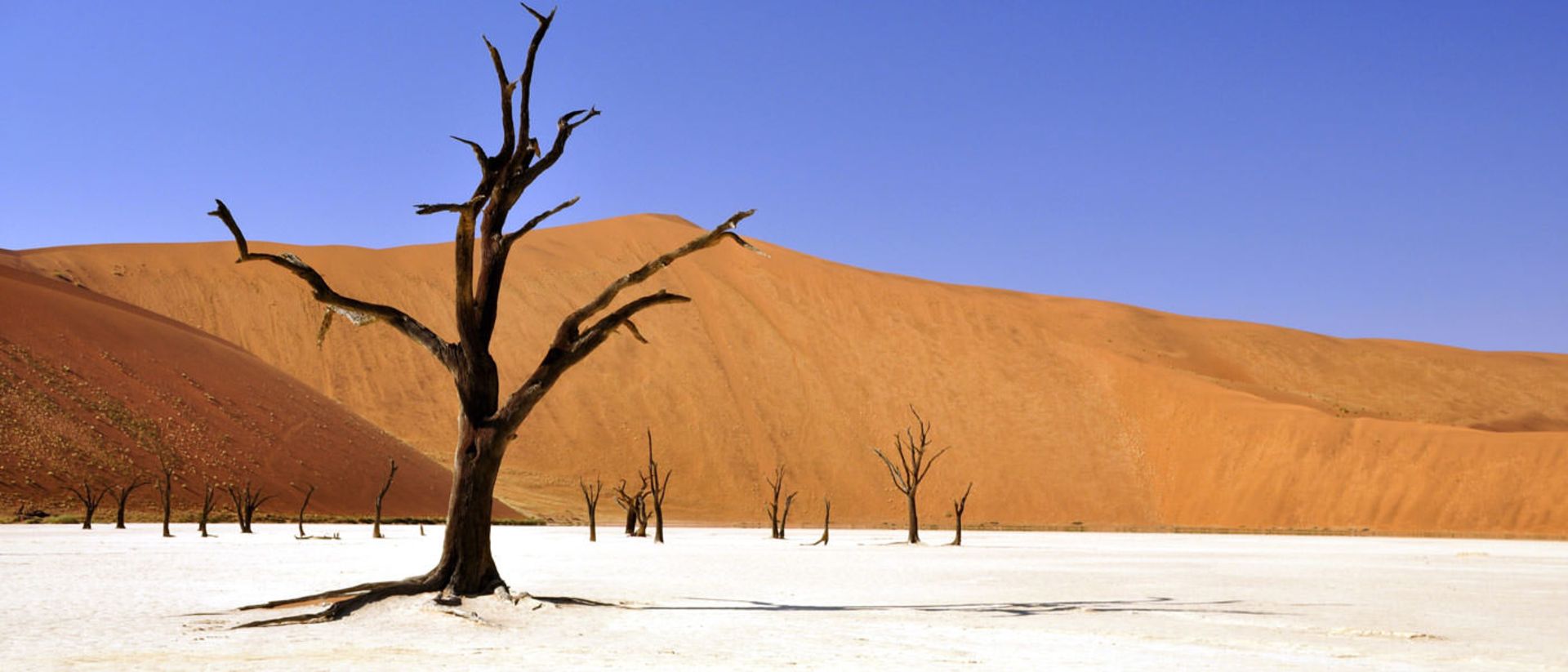 2015-11-655465465848659789