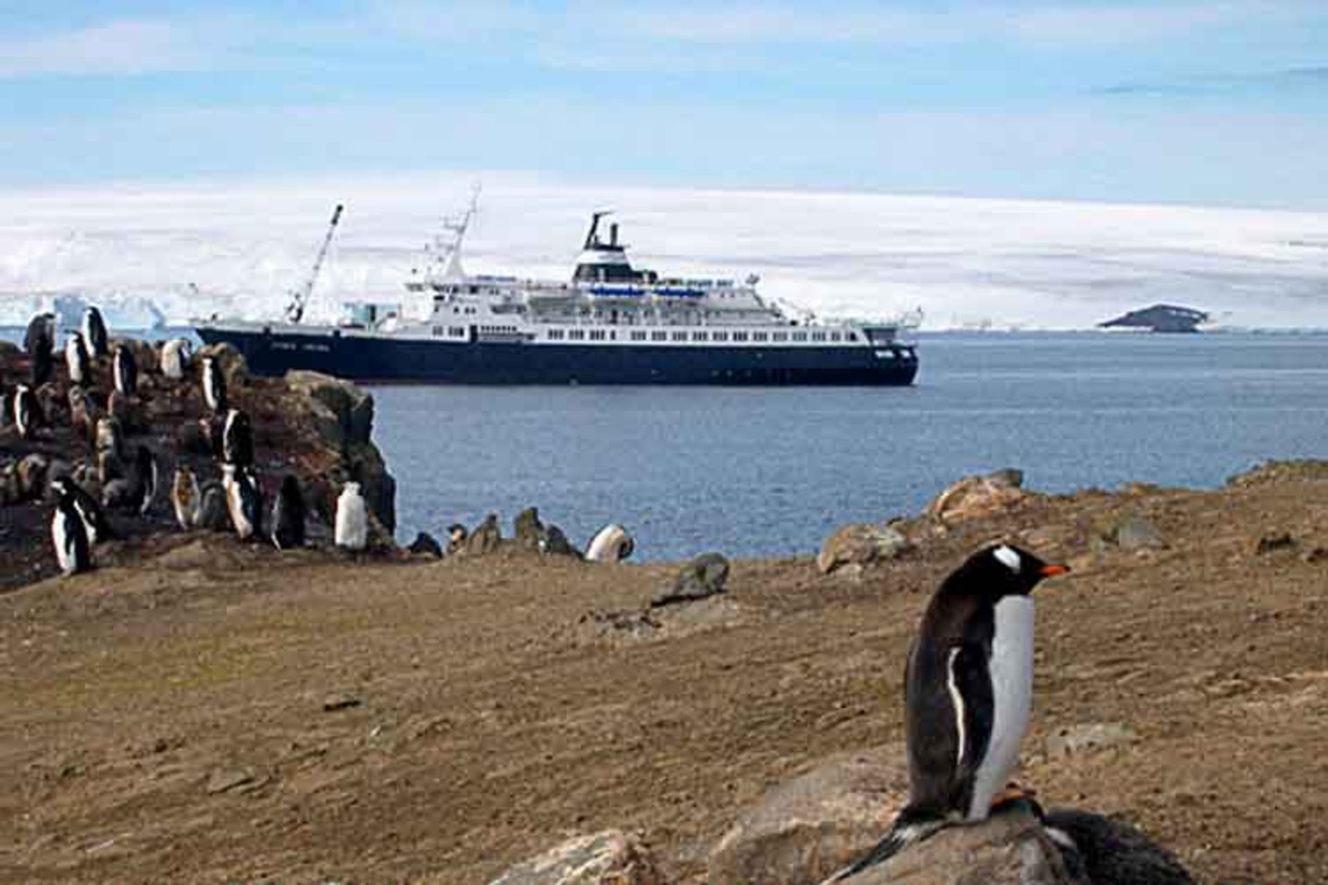 سفر با کشتی یخ‌شکن REI Antarctica - قطب شمال و جنوب