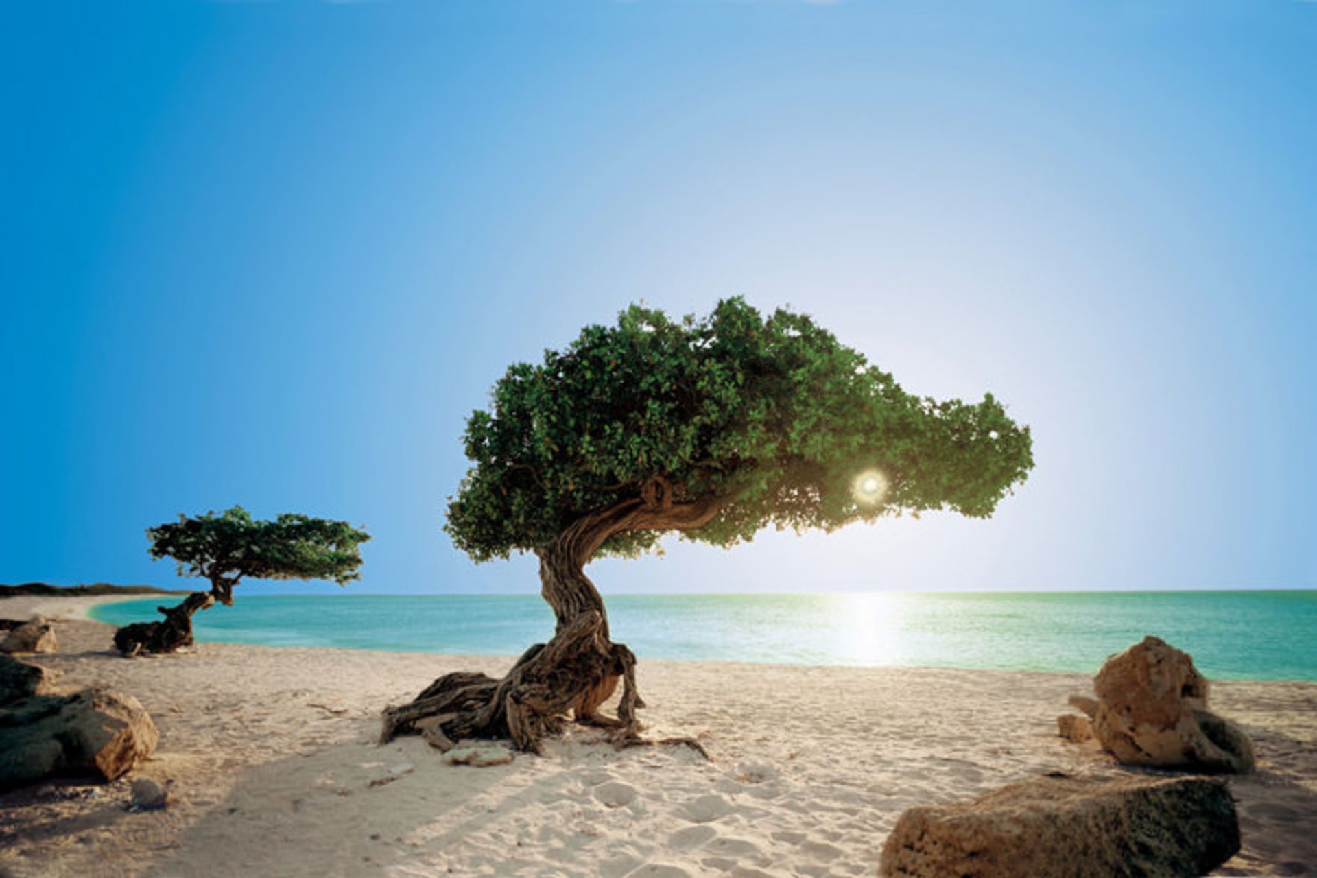 جزیره اروبا