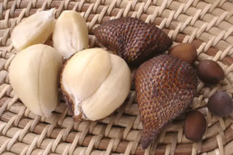 سالاک