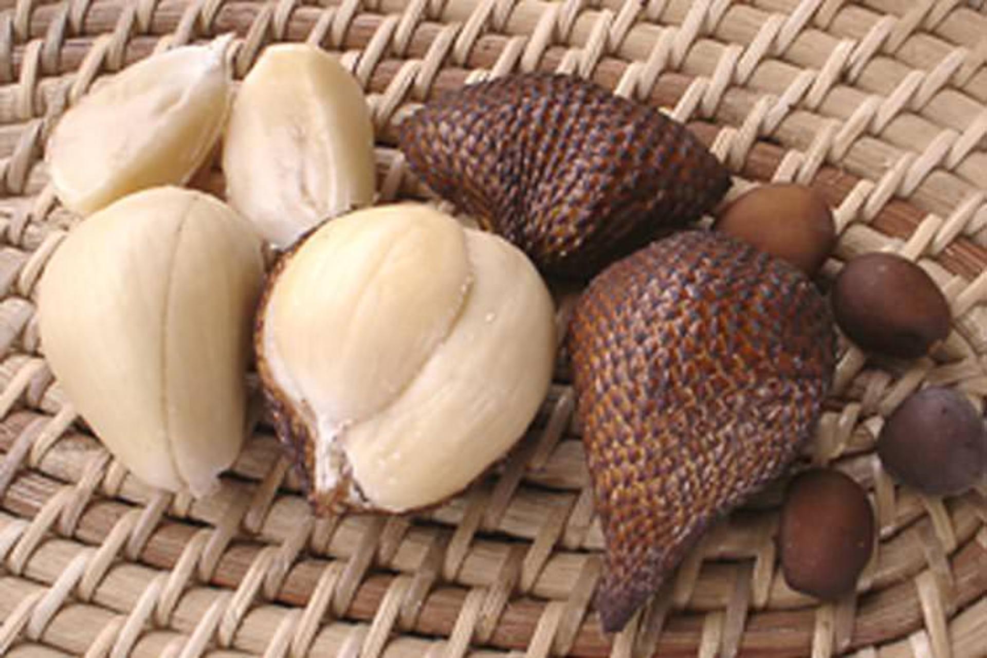 سالاک