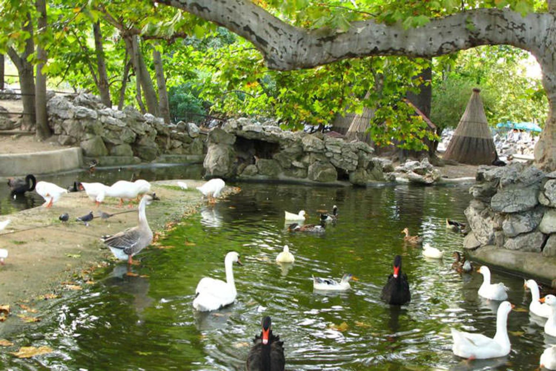 2015-11-belgrade-city-zoo1