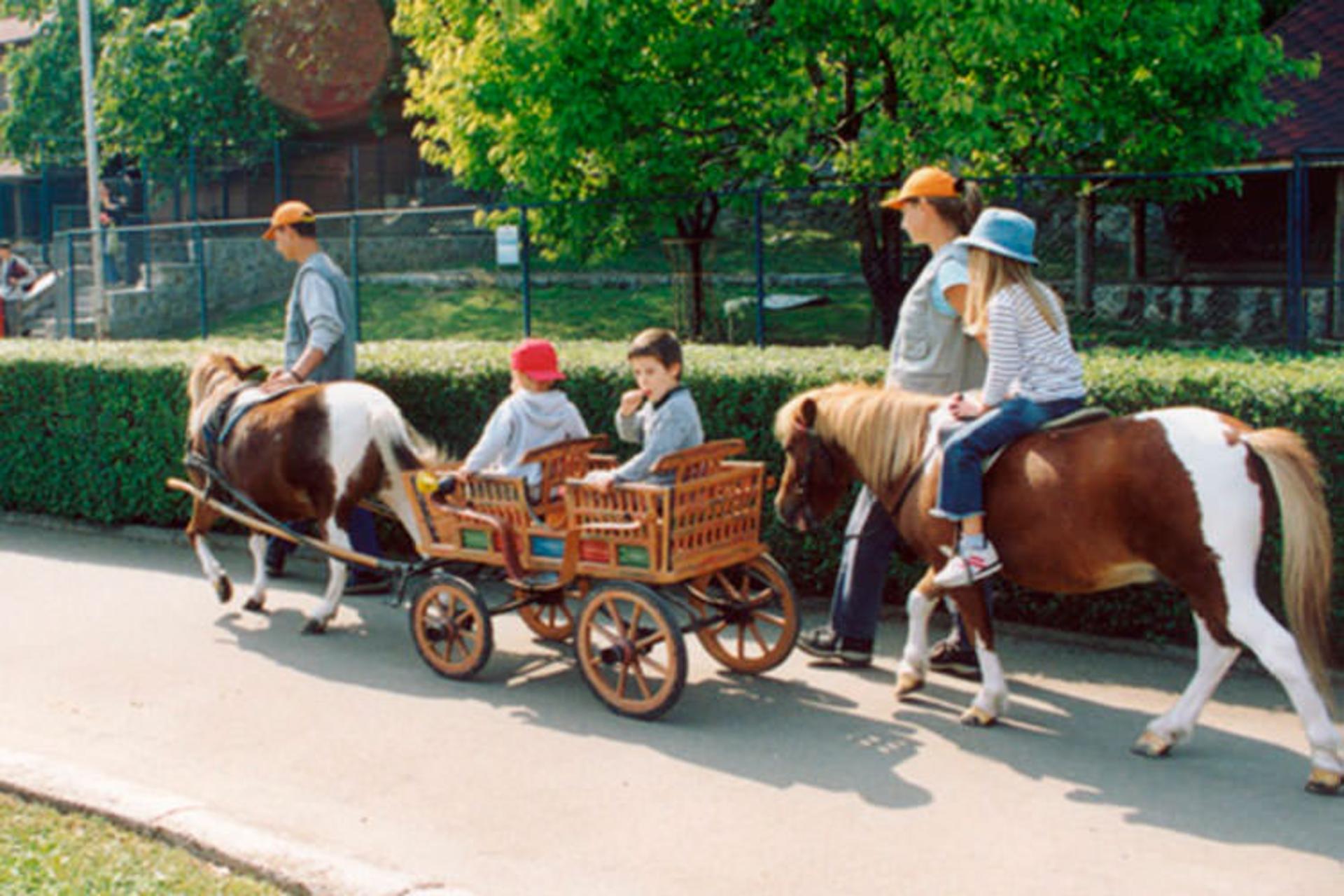 2015-11-belgrade-city-zoo3