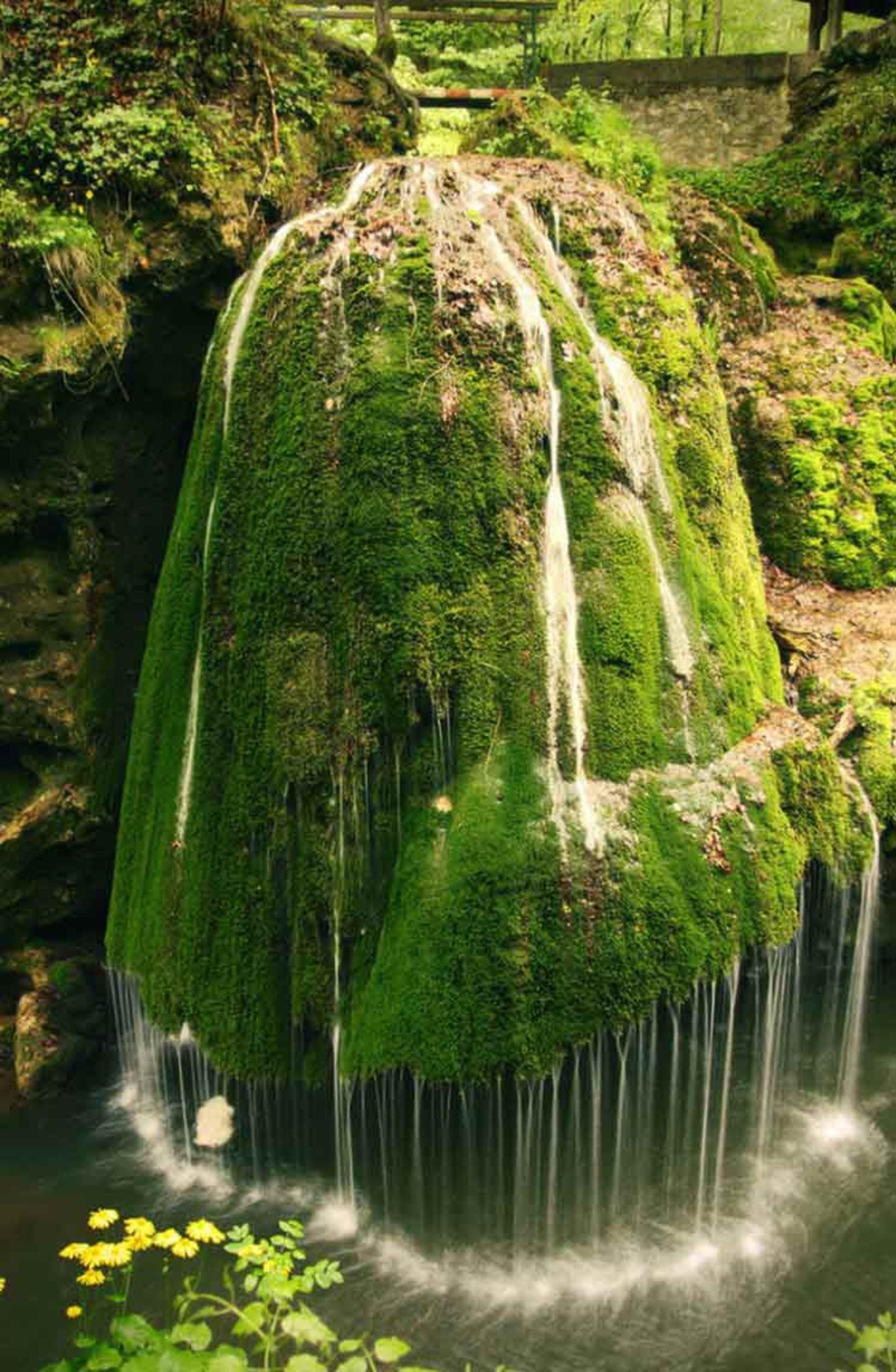 2015-11-bigar-waterfall-caras-severin-county-romania-1
