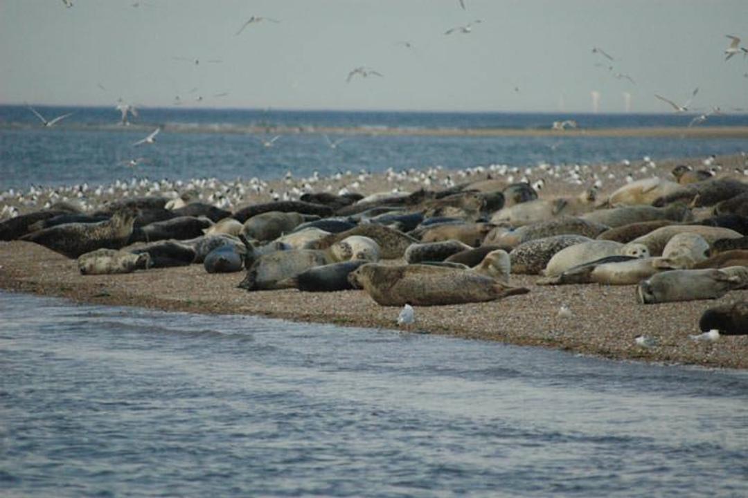 2015-11-blakeney-norfolk-england-51