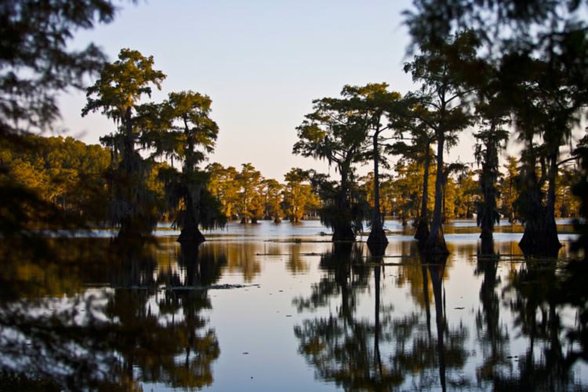 2015-11-caddo-lake-texas-and-louisiana4
