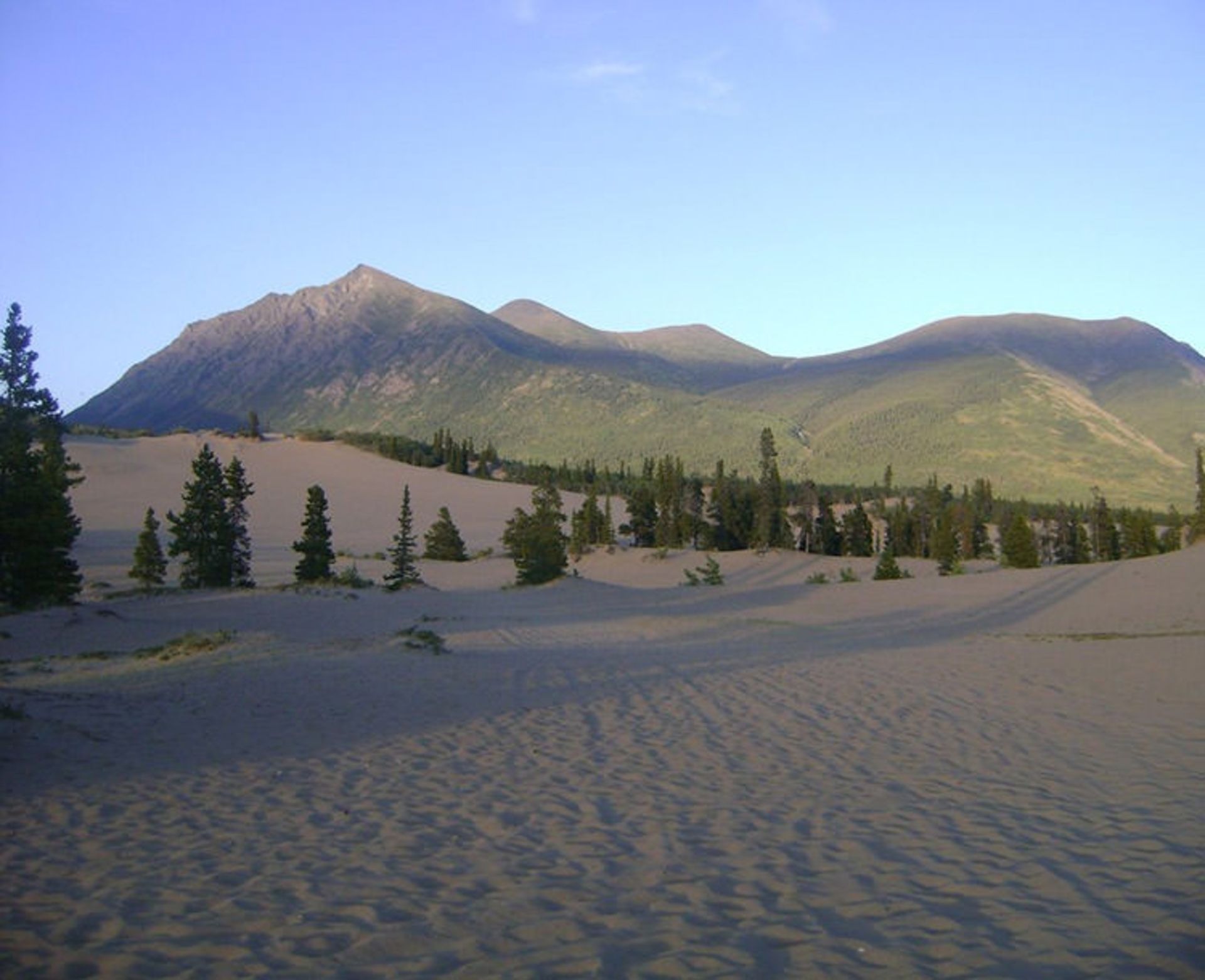 Carcross-desert