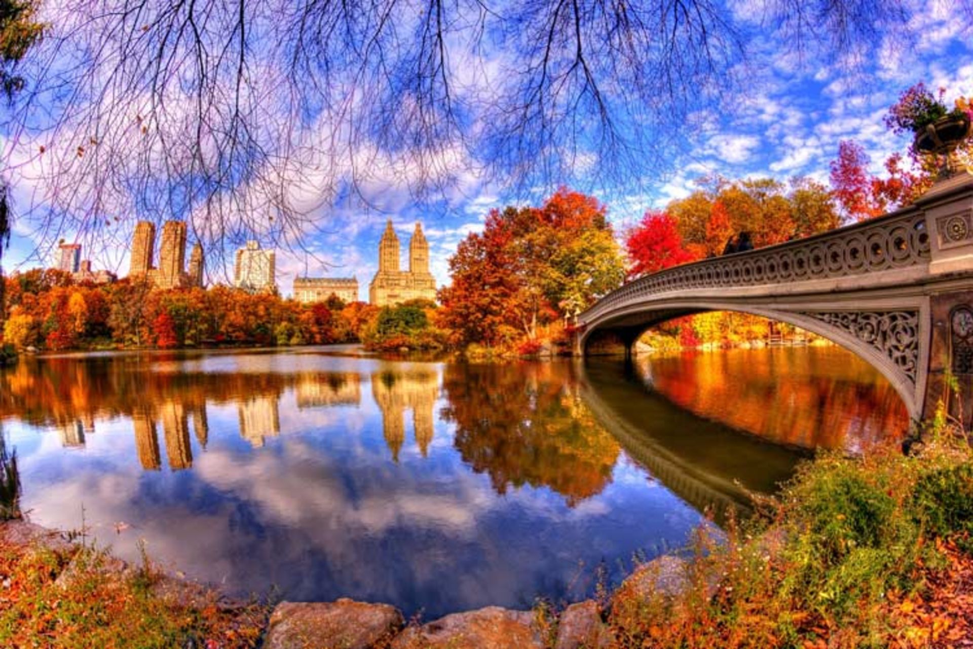 2015-11-central-park-new-york11