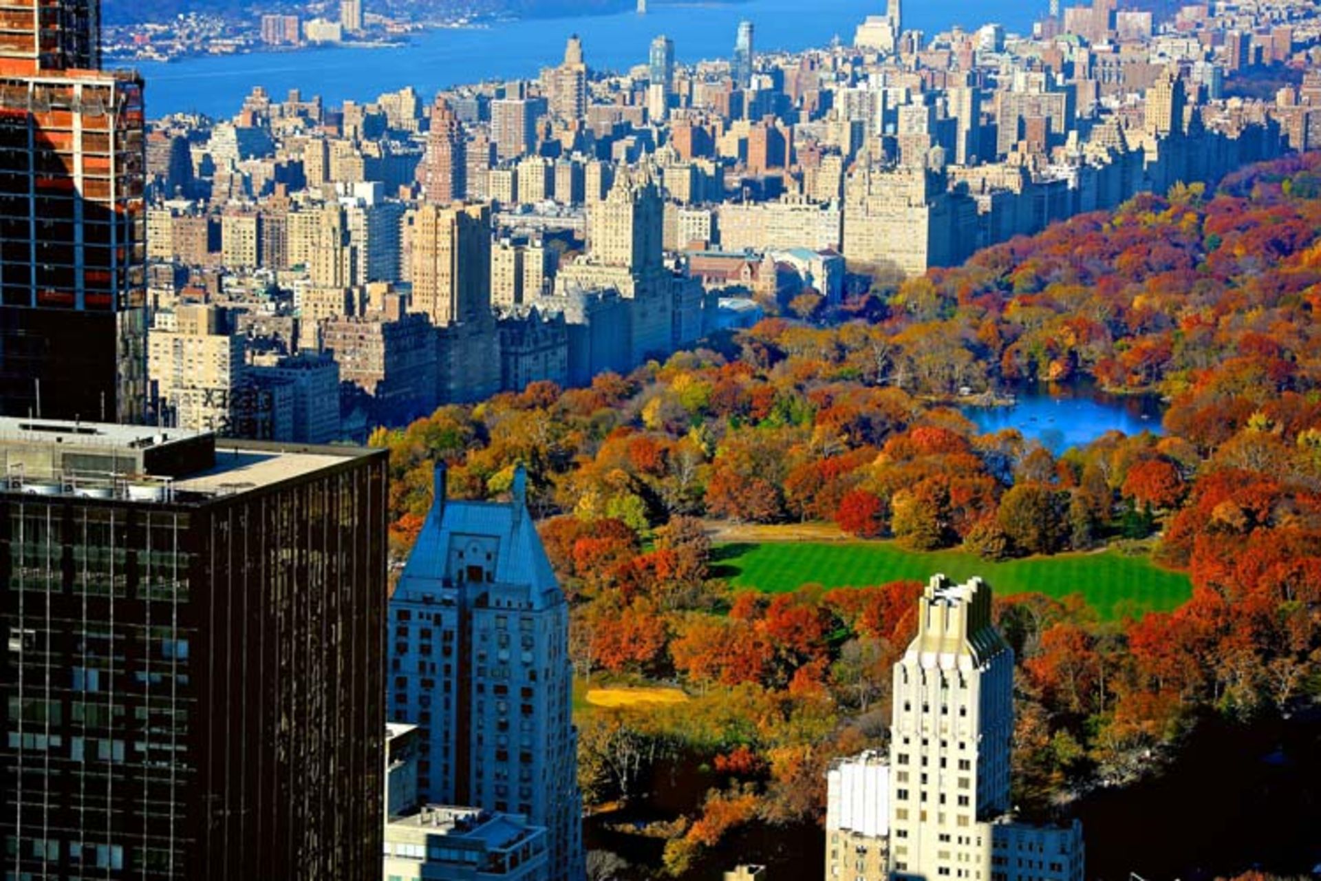 2015-11-central-park-new-york2