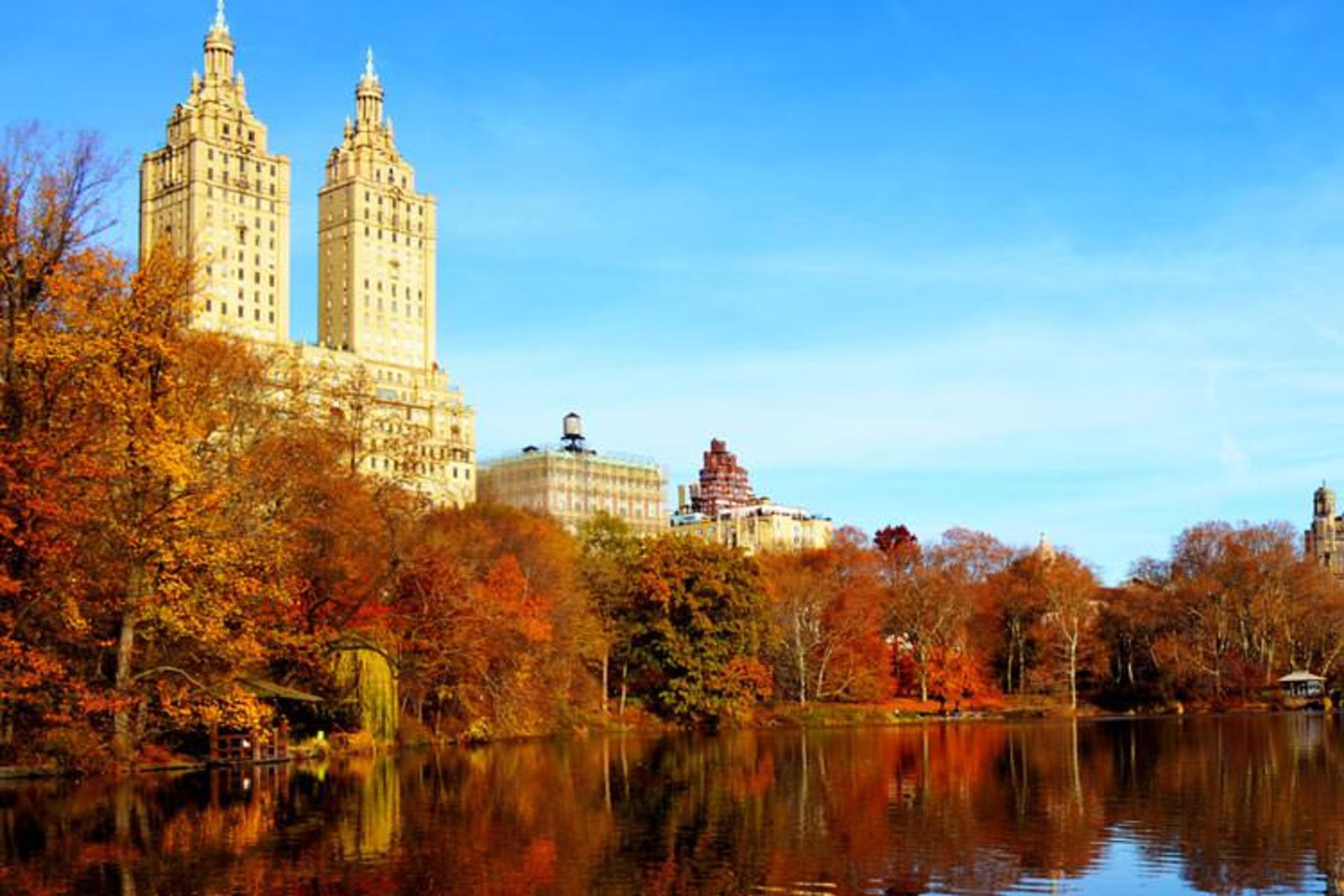 2015-11-central-park-new-york3