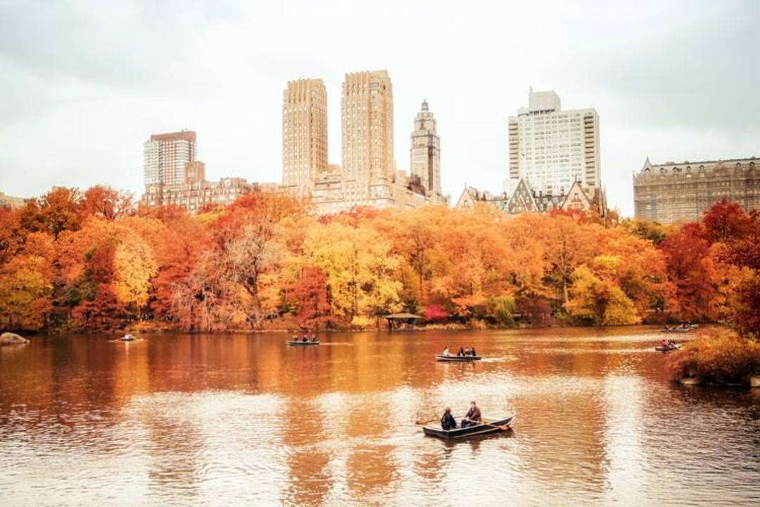 2015-11-central-park-new-york7