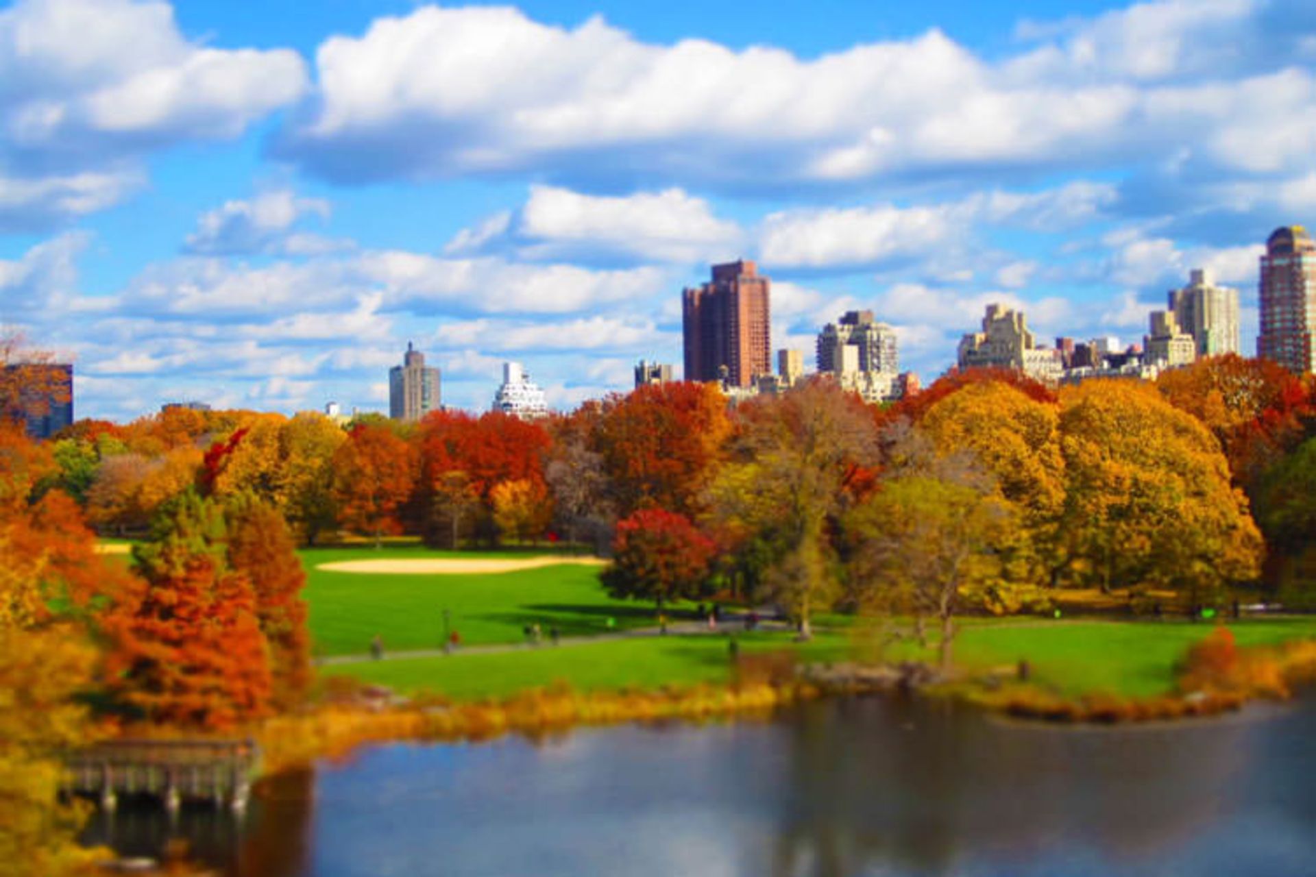 2015-11-central-park-new-york8