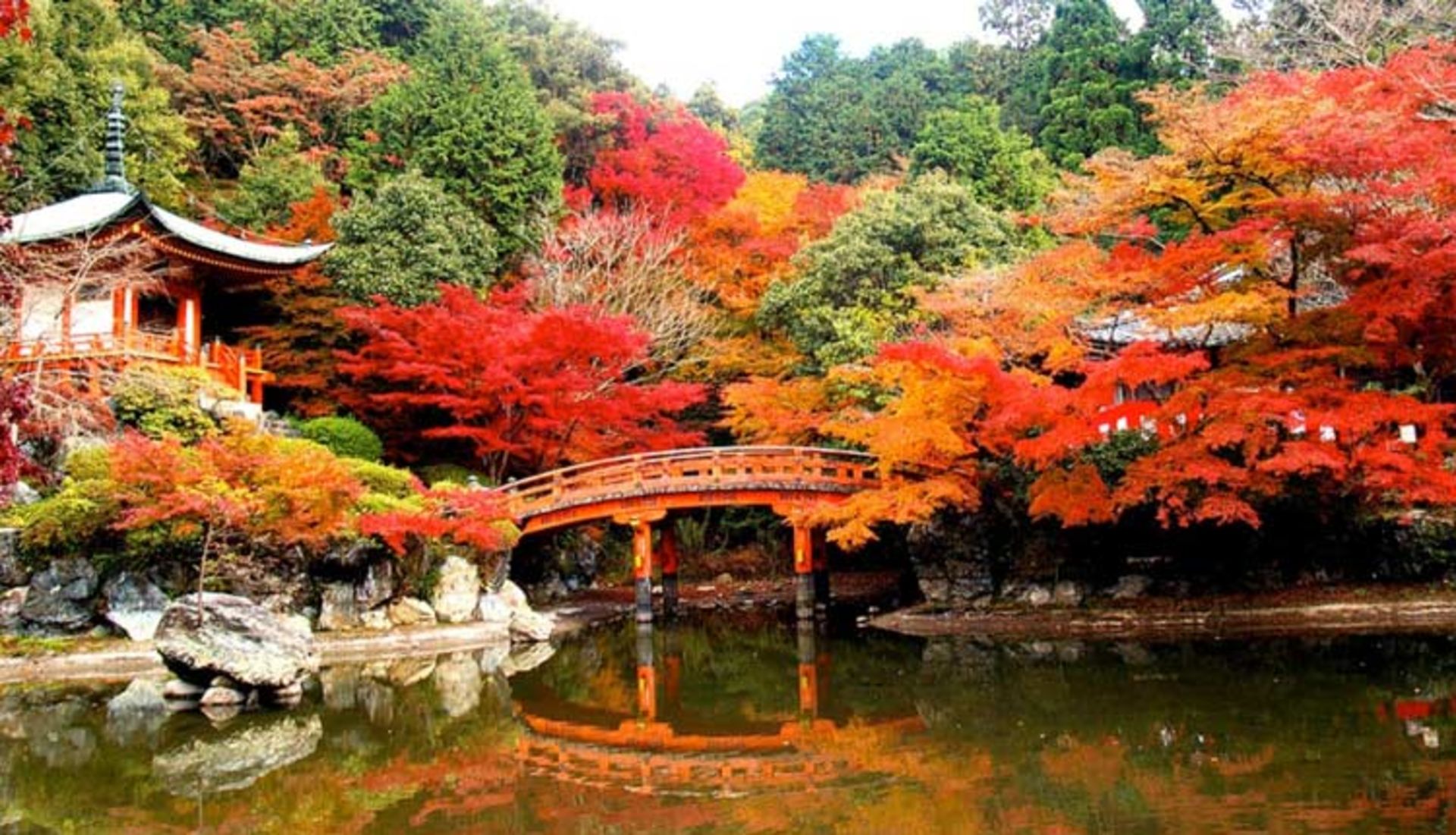 2015-11-daigo-ji-kyoto-japan