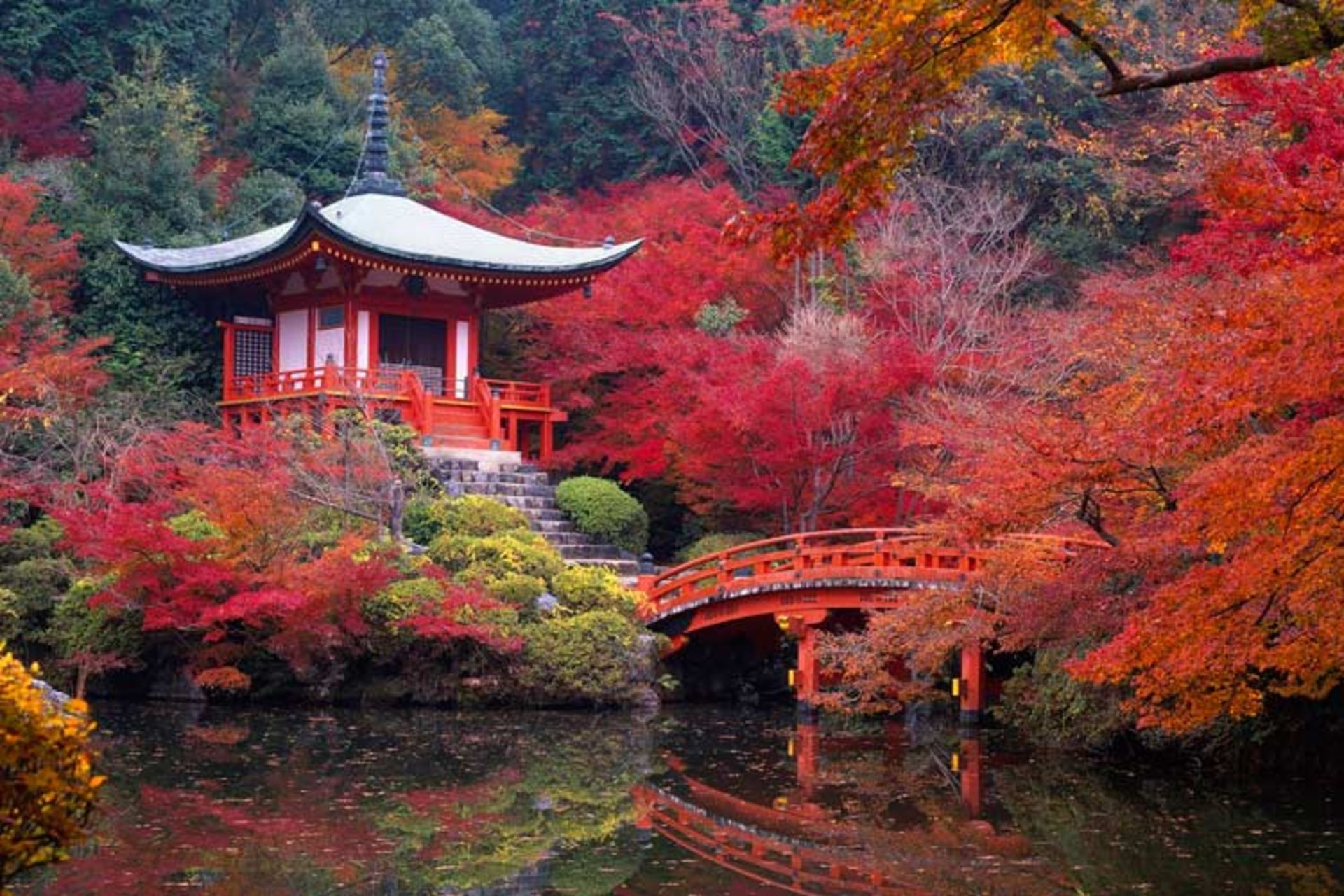 2015-11-daigo-ji-kyoto-japan1
