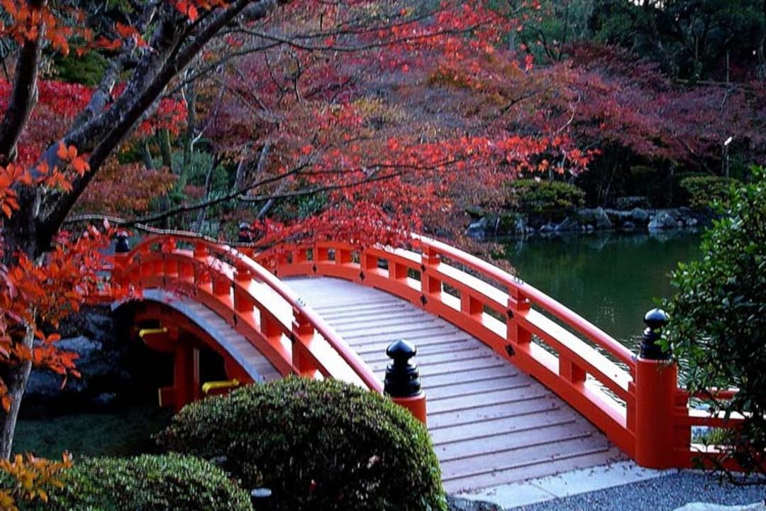 2015-11-daigo-ji-kyoto-japan2