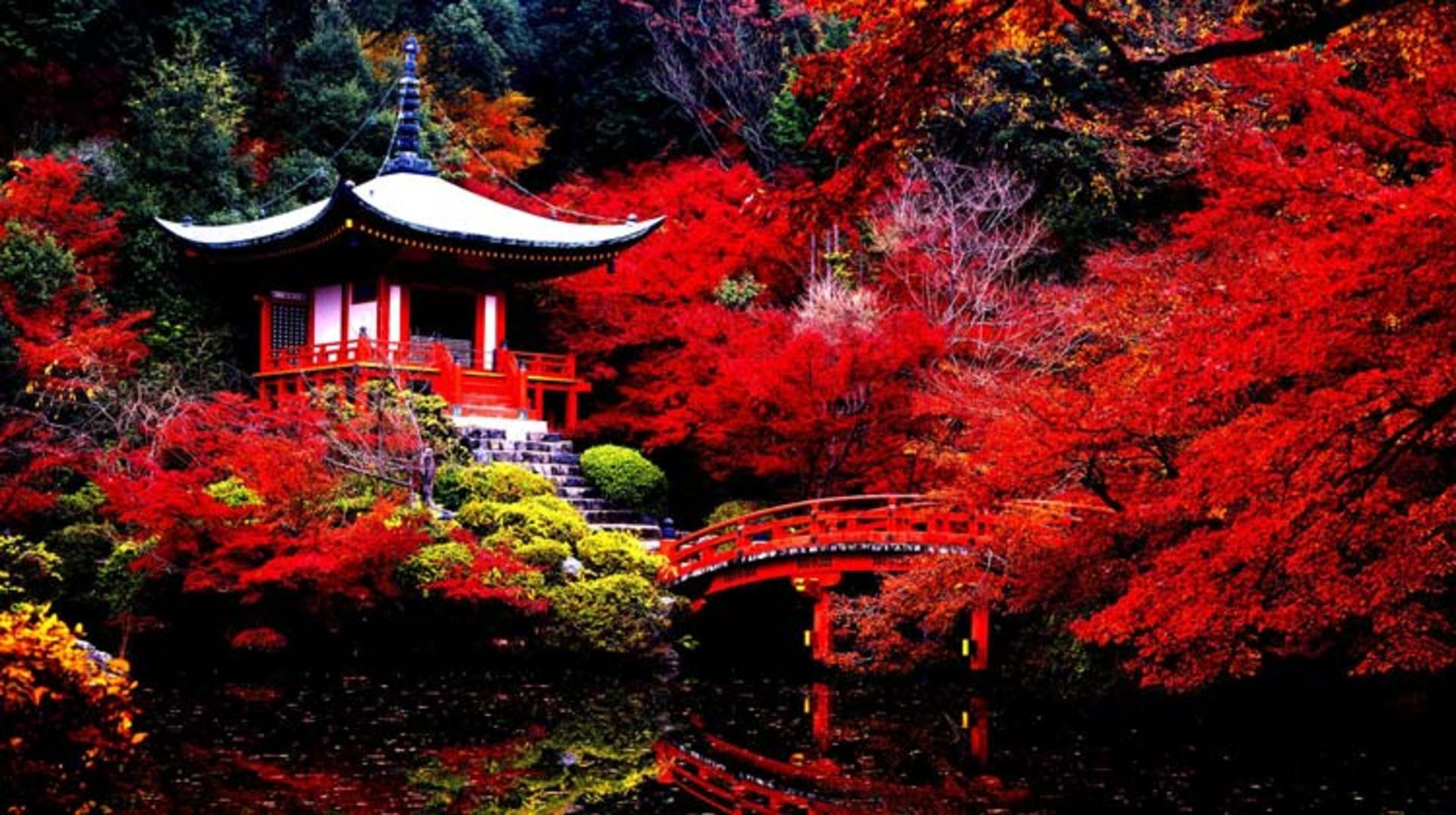 2015-11-daigo-ji-kyoto-japan3