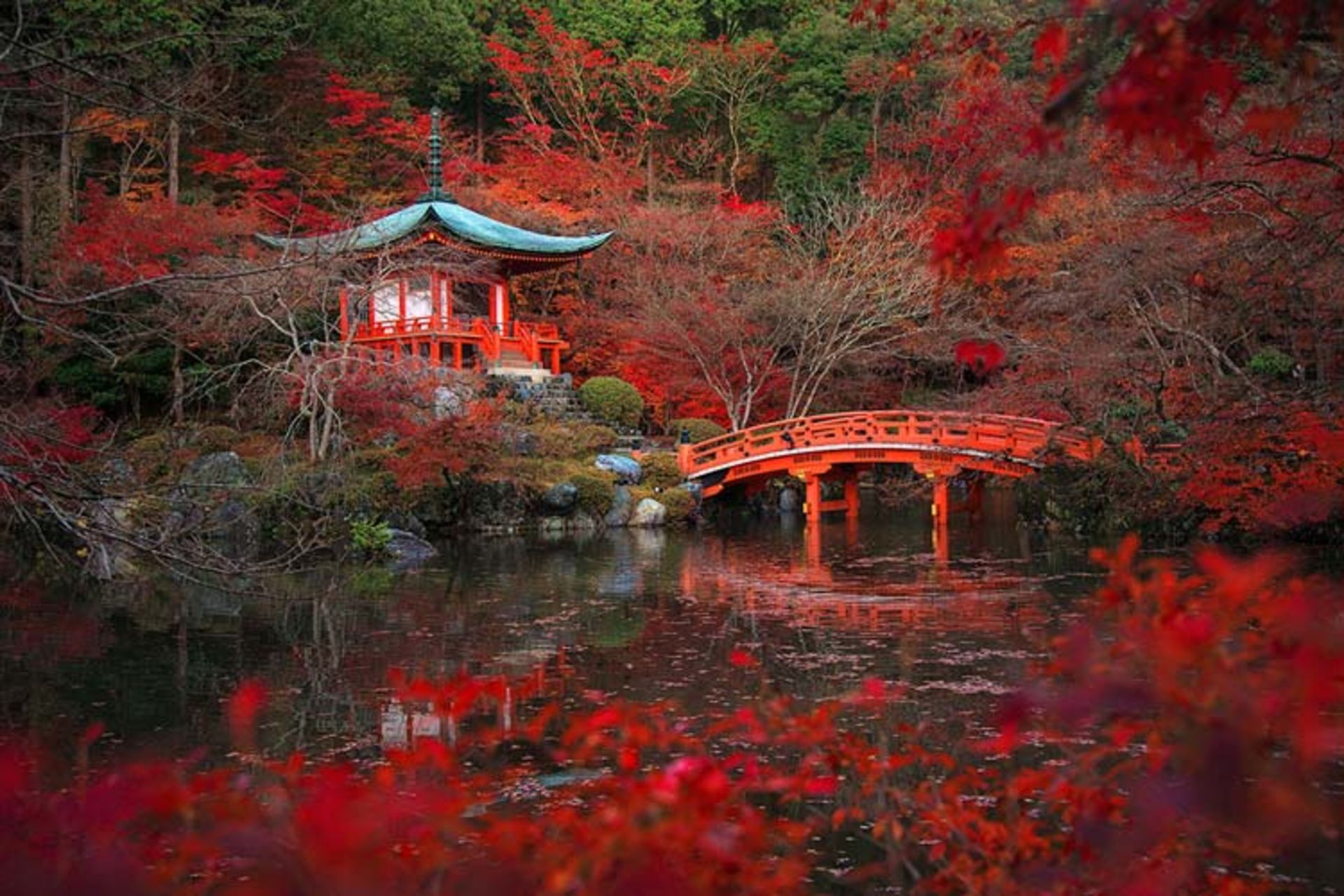 2015-11-daigo-ji-kyoto-japan4