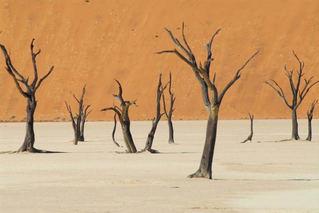 Deadvlei در پارک Namib-Naukluft