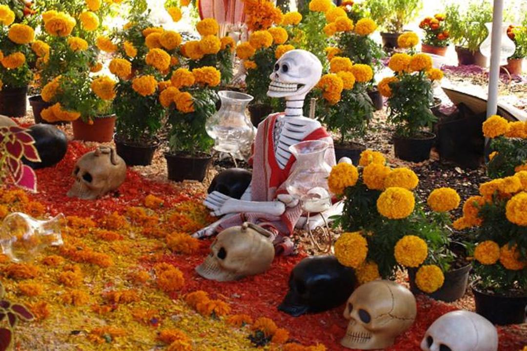 2015-11-dia-de-muertos