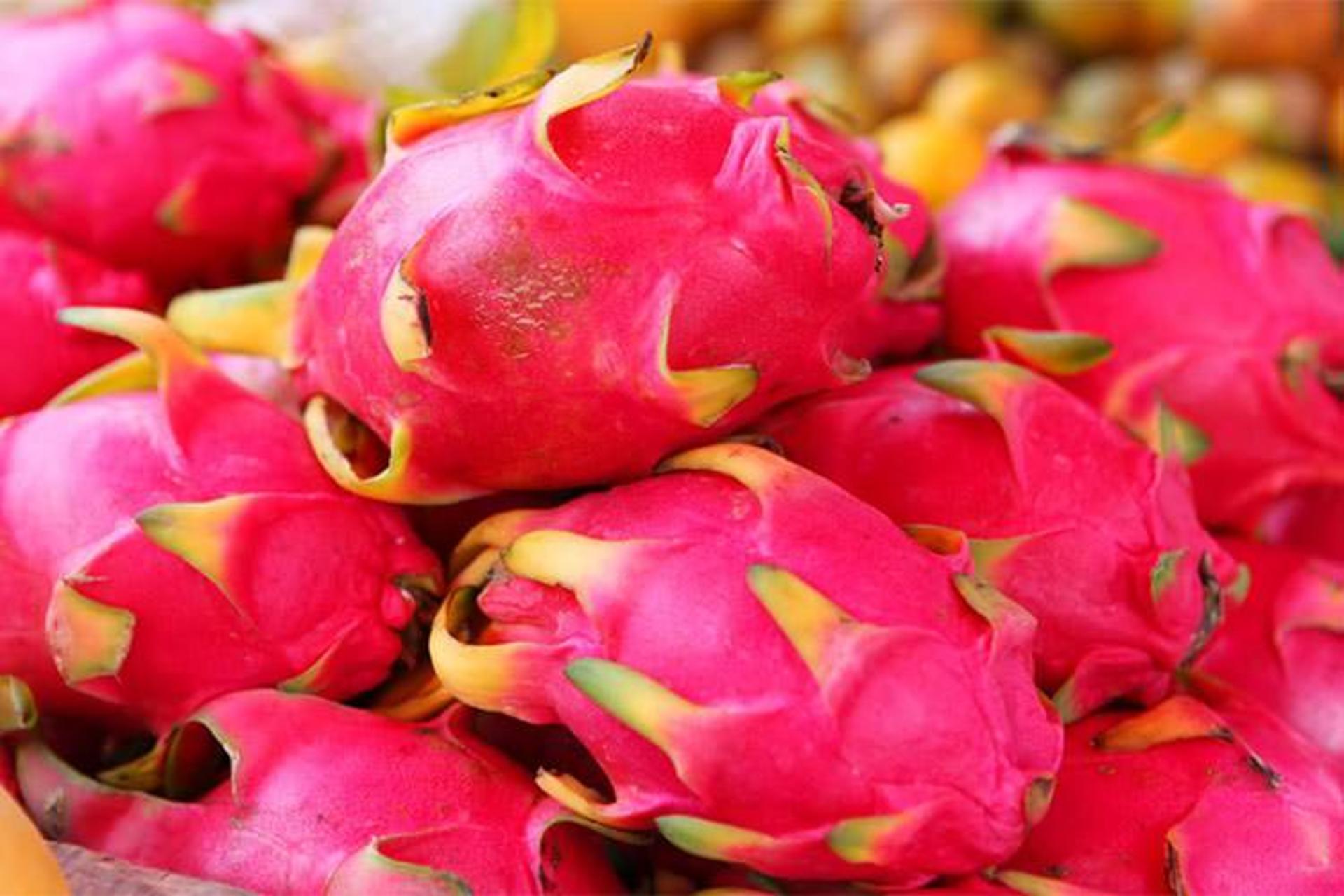 میوه اژدها