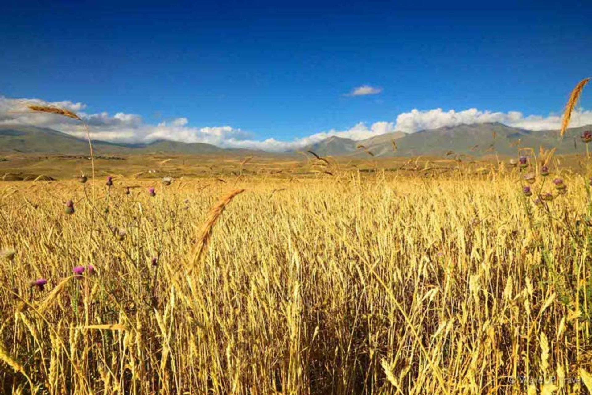 طبیعت قفقاز