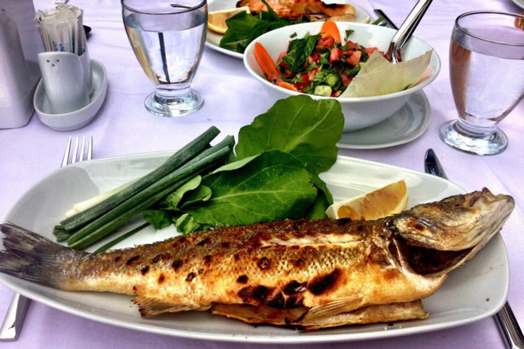 2015-11-fish-restaurants-2