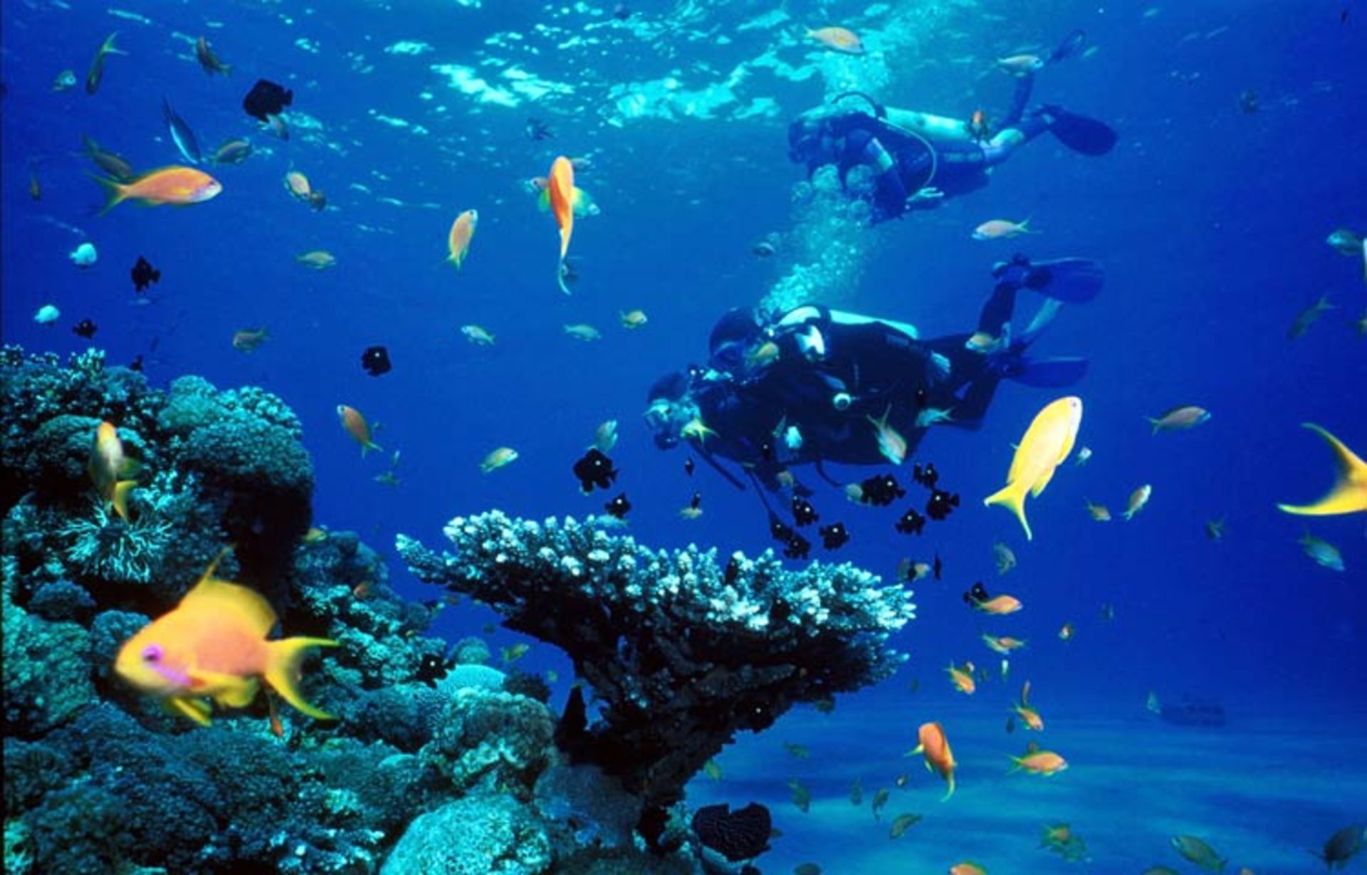 2015-11-go-scuba-diving-3