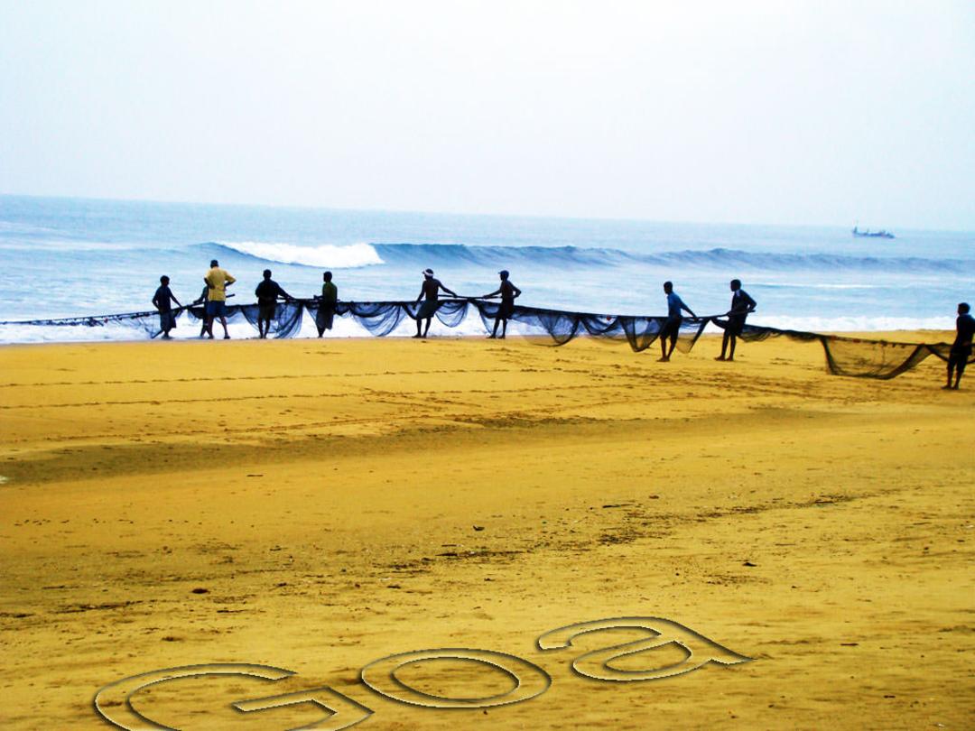 2015-11-goa-1