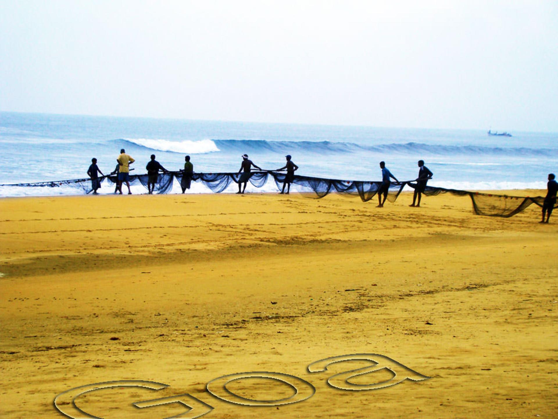 2015-11-goa-1