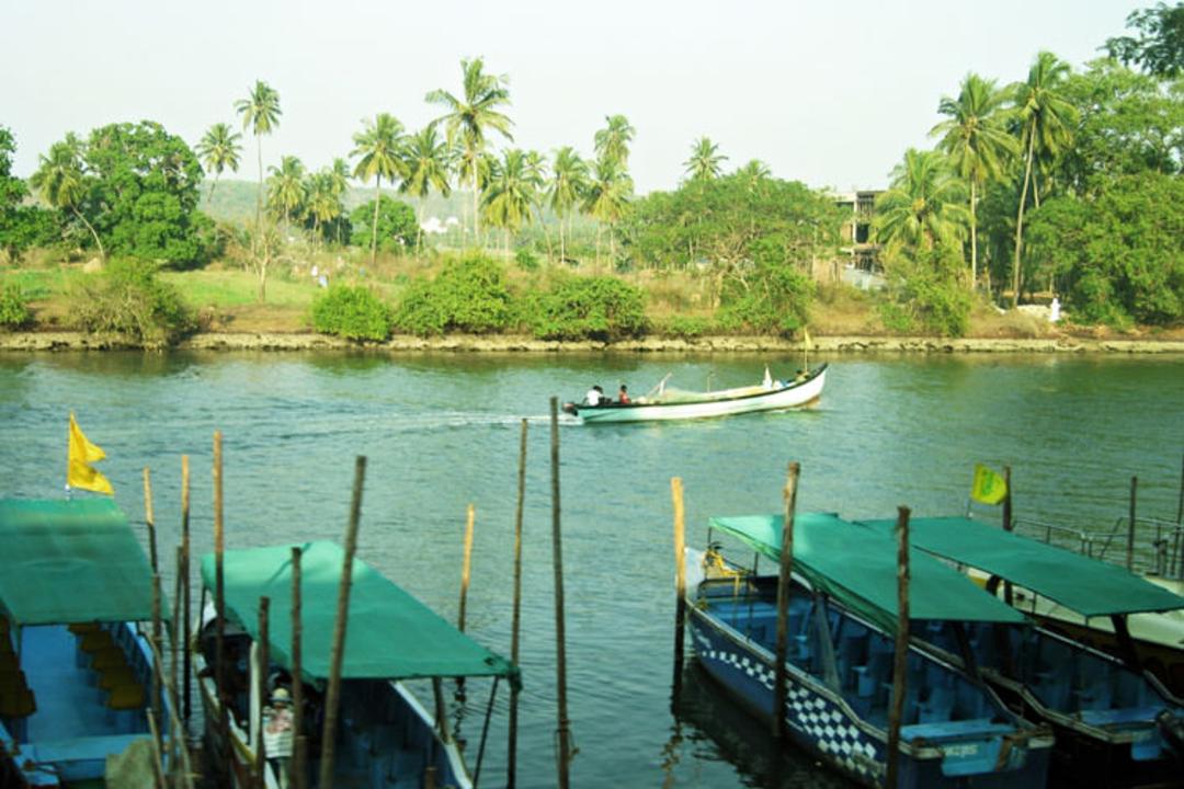 2015-11-goa17