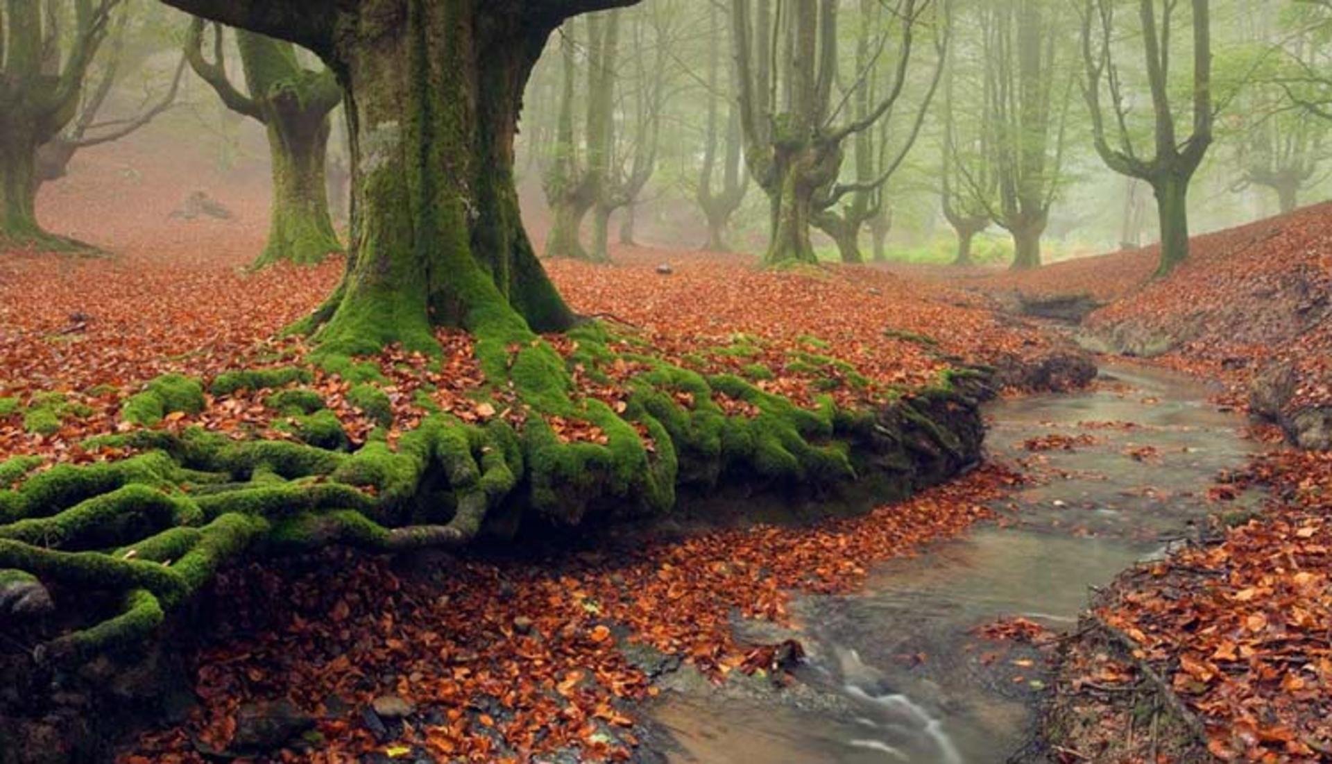 2015-11-gorbea-natural-park-basquecountry