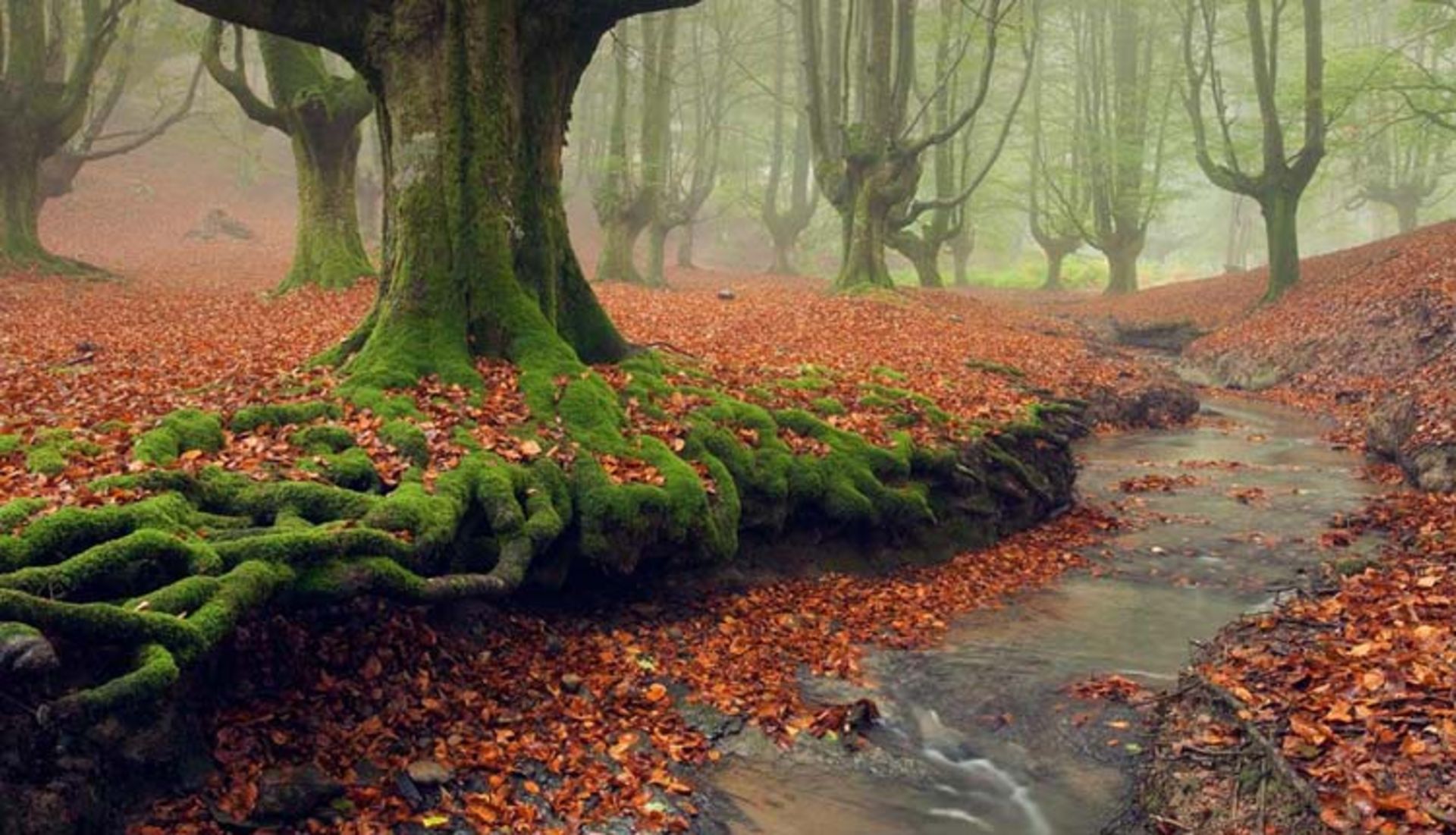 2015-11-gorbea-natural-park-basquecountry