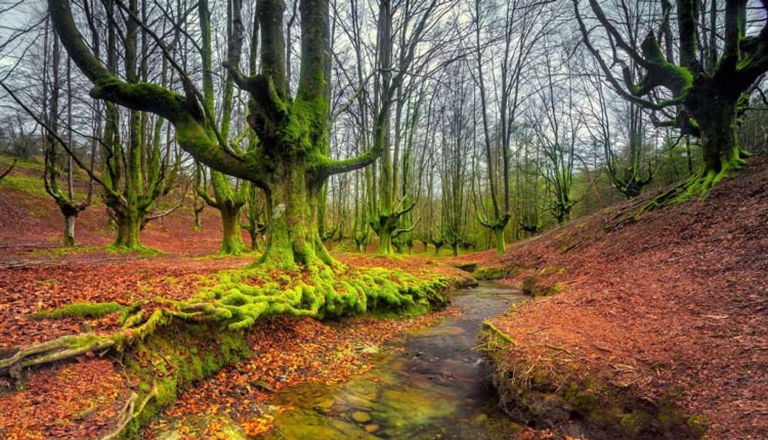 2015-11-gorbea-natural-park-basquecountry1