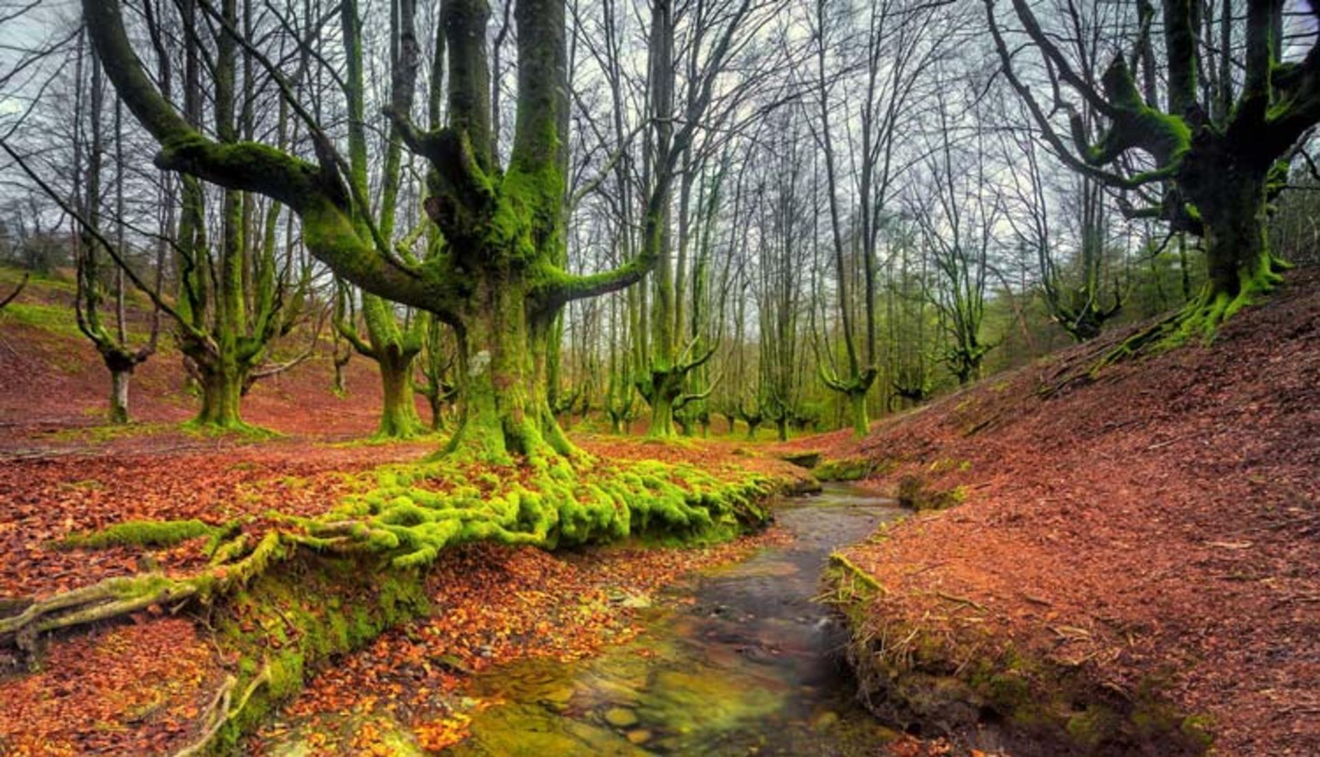 2015-11-gorbea-natural-park-basquecountry1