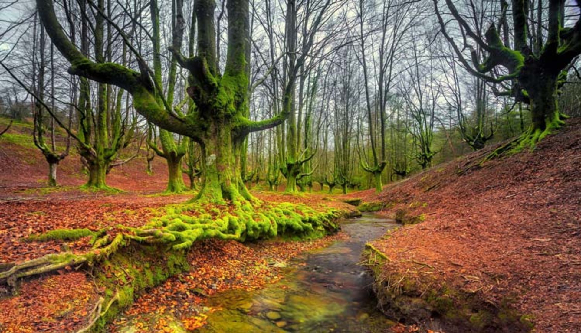 2015-11-gorbea-natural-park-basquecountry1