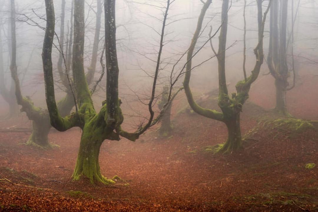 2015-11-gorbea-natural-park-basquecountry3