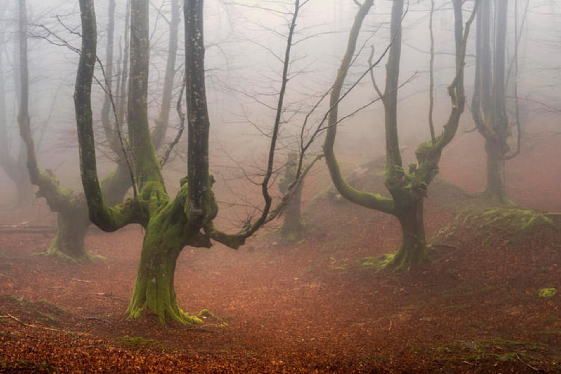 2015-11-gorbea-natural-park-basquecountry3