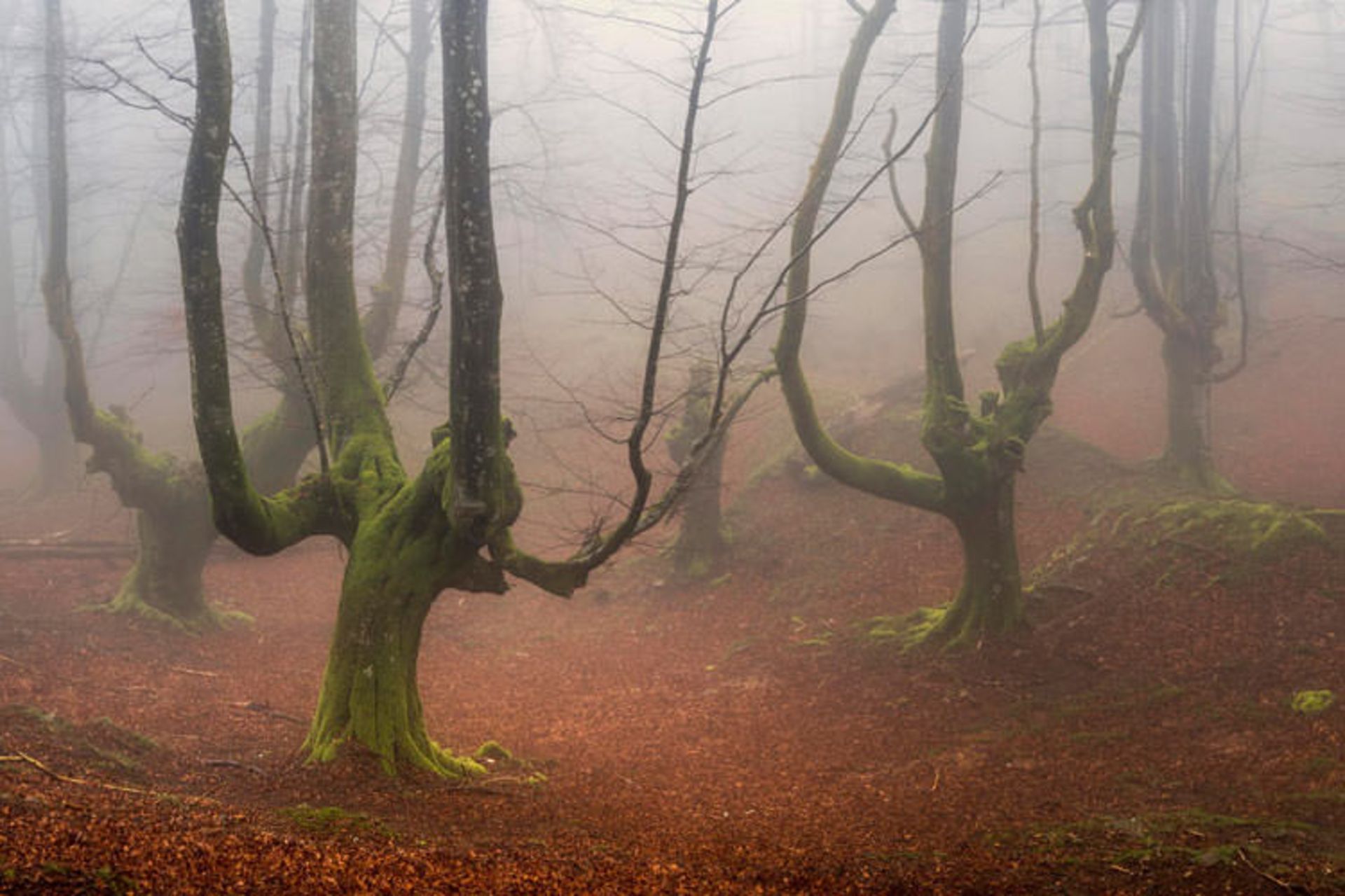 2015-11-gorbea-natural-park-basquecountry3