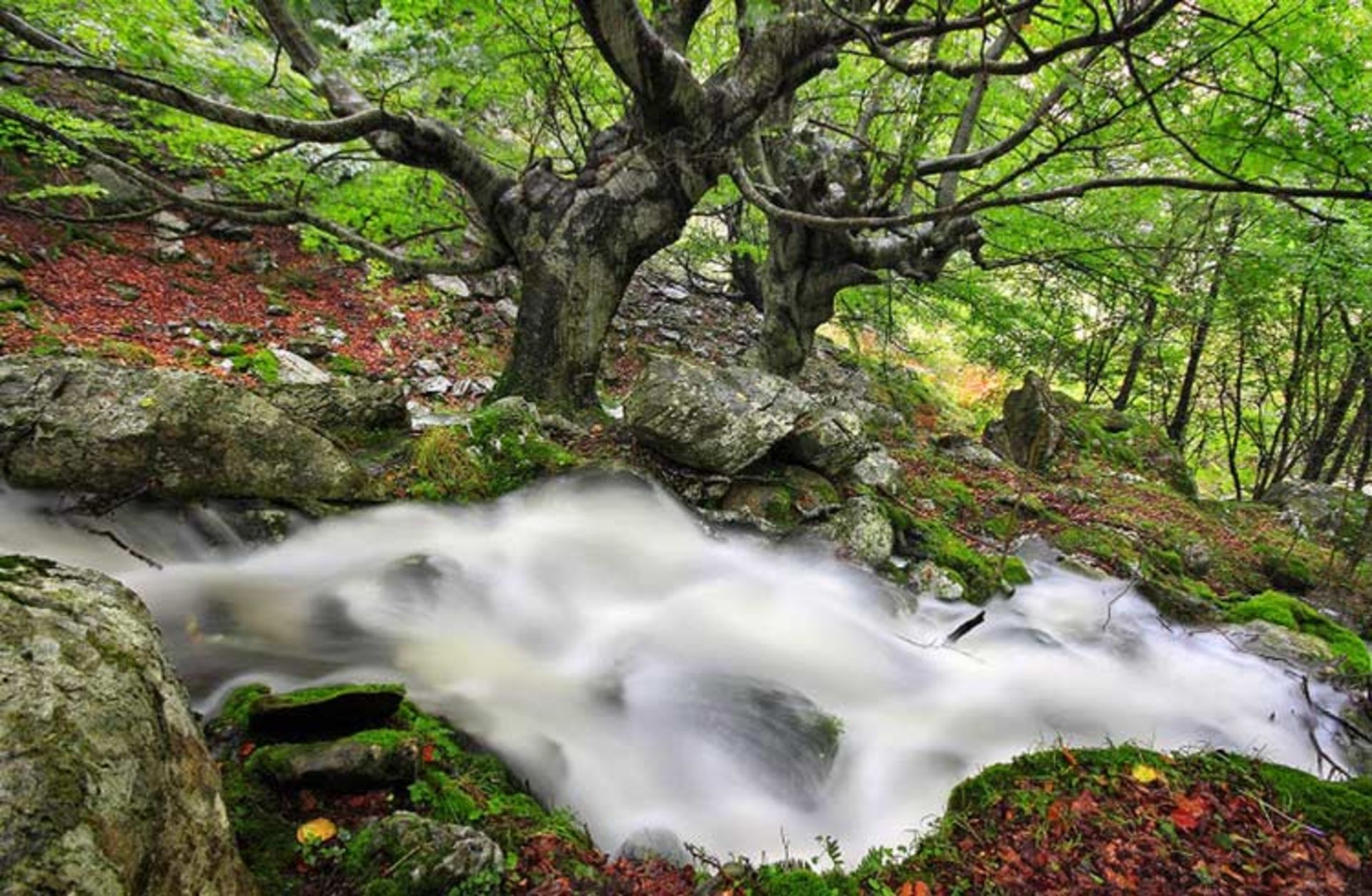 2015-11-gorbea-natural-park-basquecountry4
