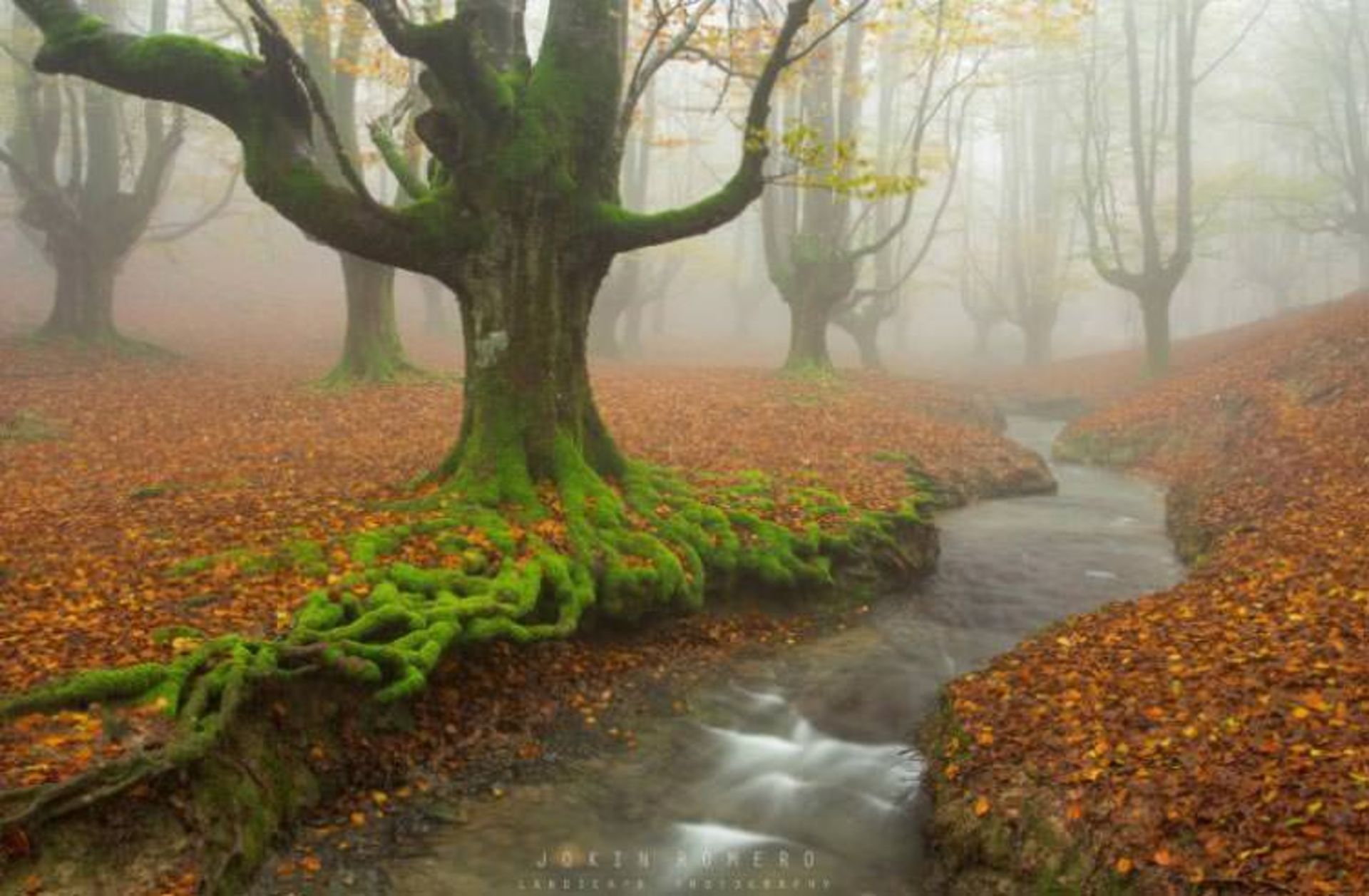 2015-11-gorbea-natural-park-basquecountry5