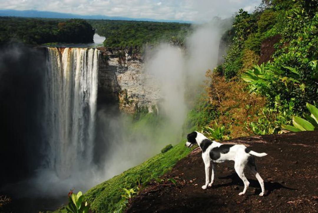 آبشار Kaieteur در مرکز Essequibo Territory