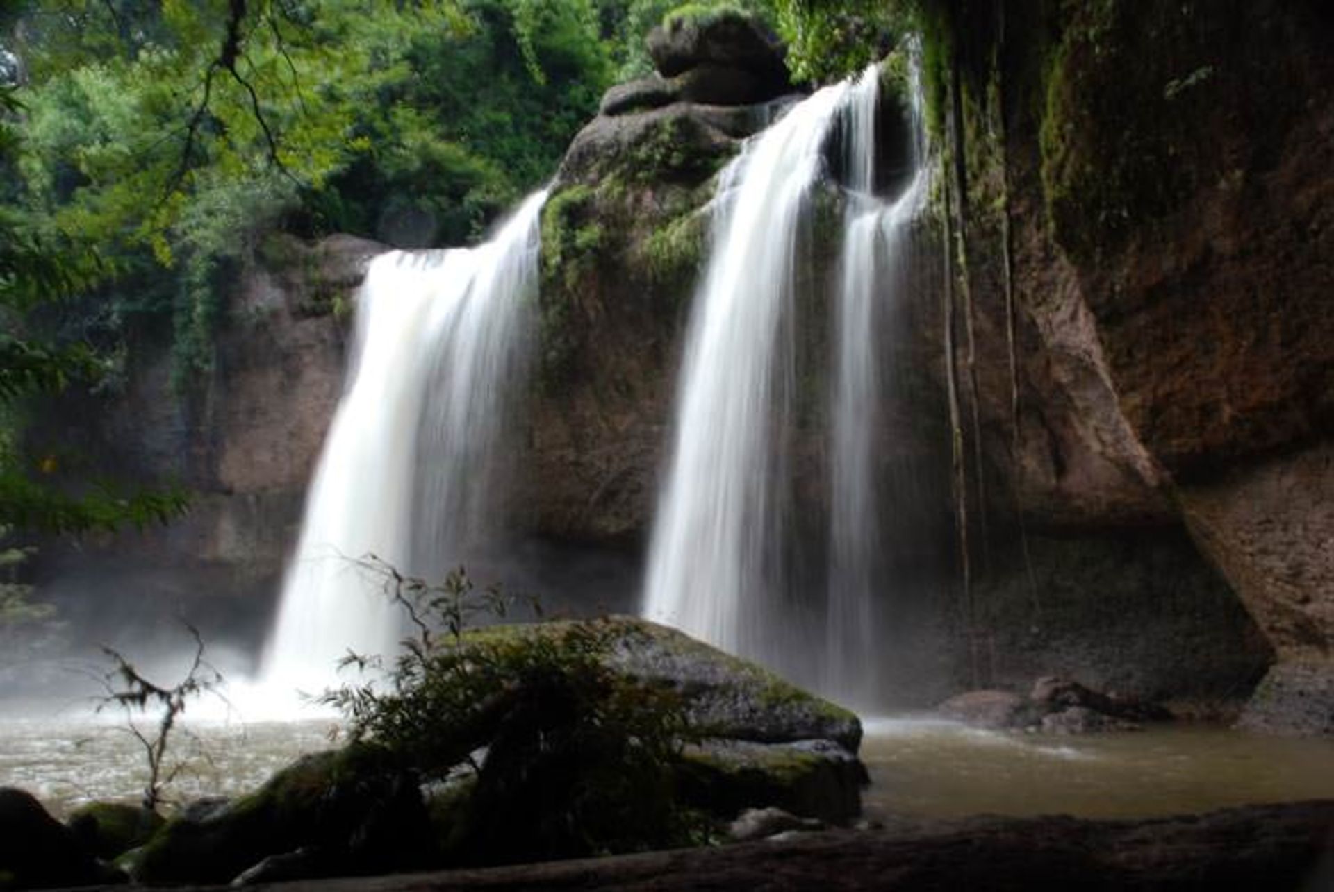 2015-11-khao-yai-national-park-4