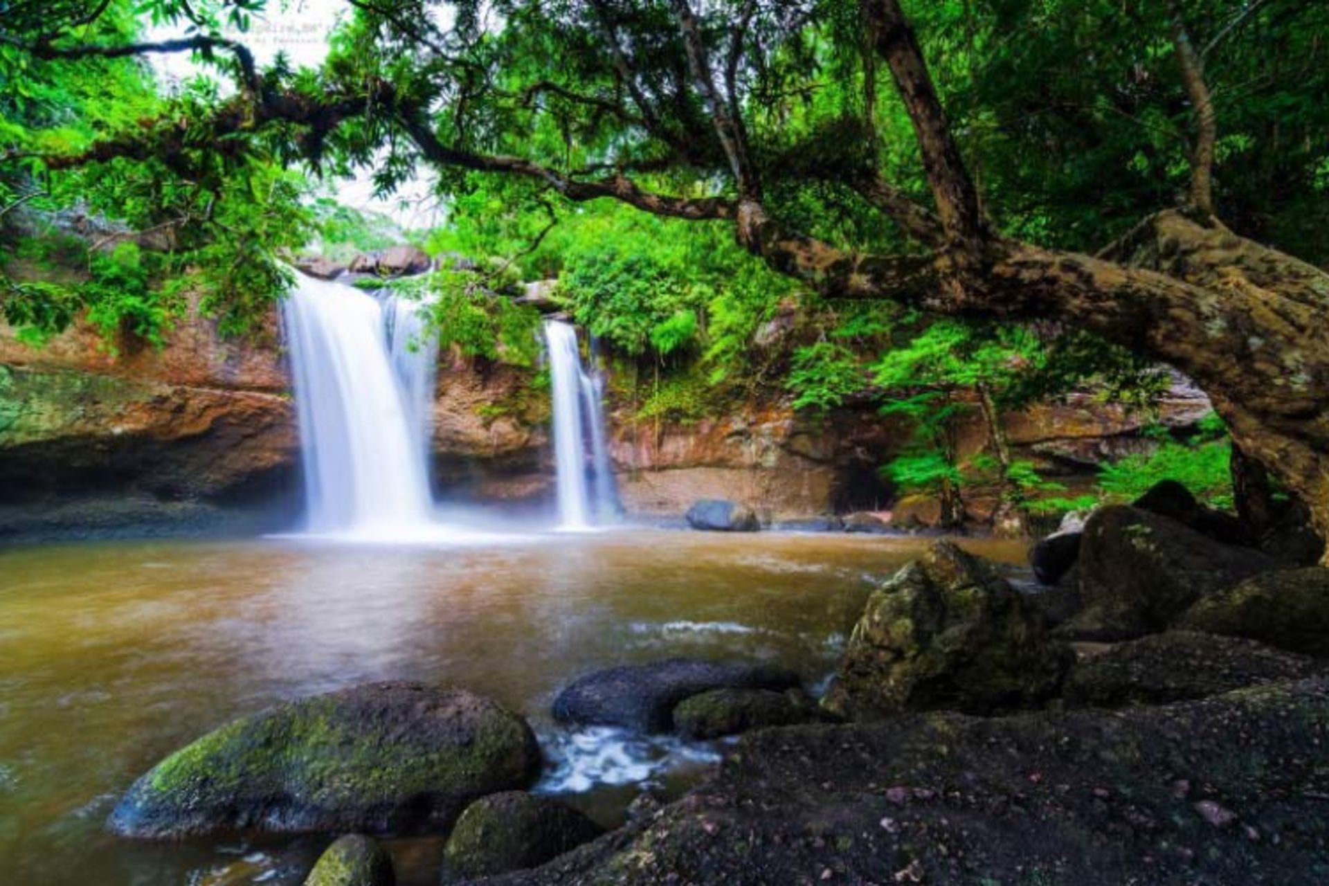 2015-11-khao-yai-national-park-by-taweesak-boonwirut-5