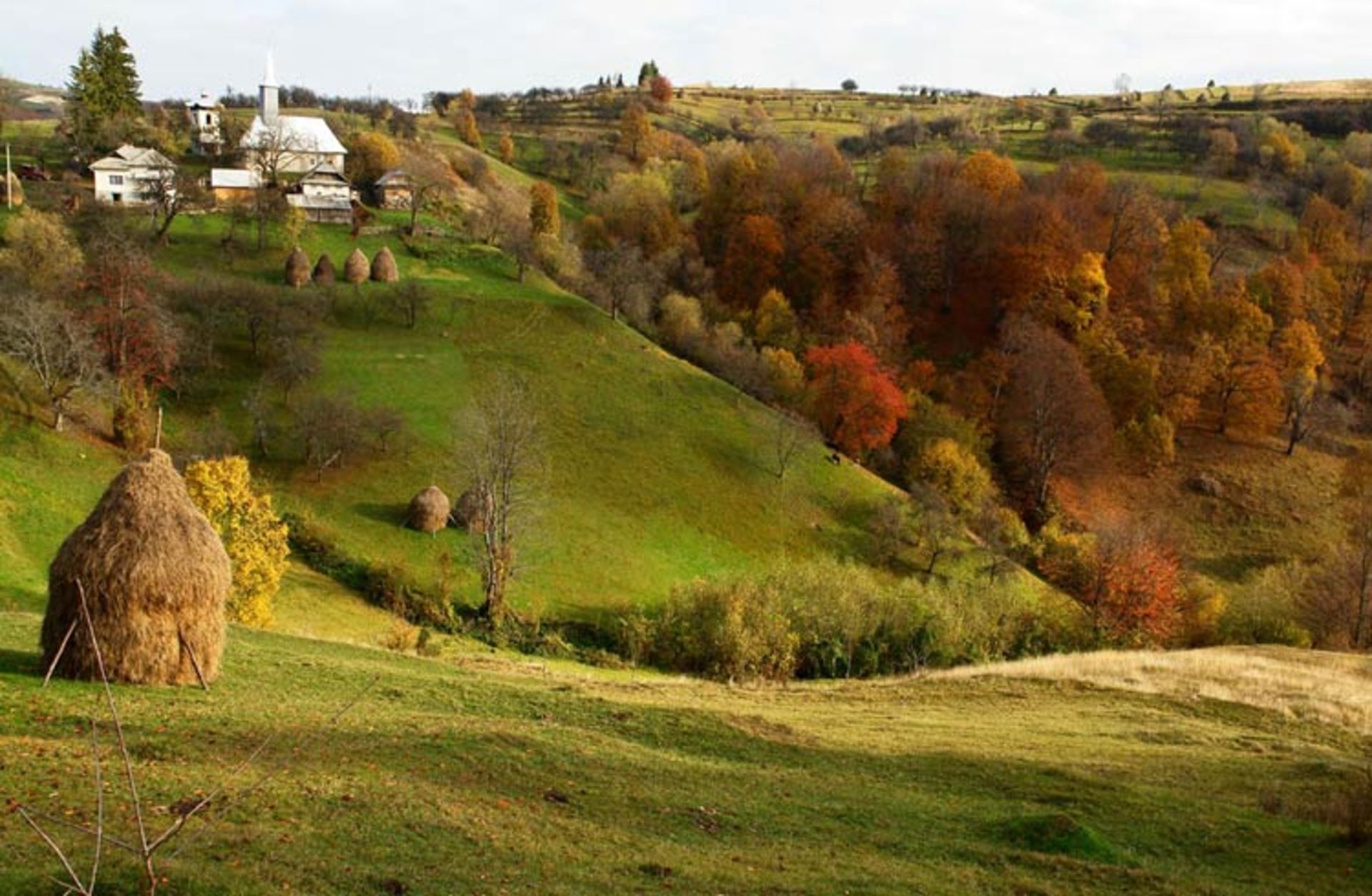 2015-11-maramures-the-carpathians-romania