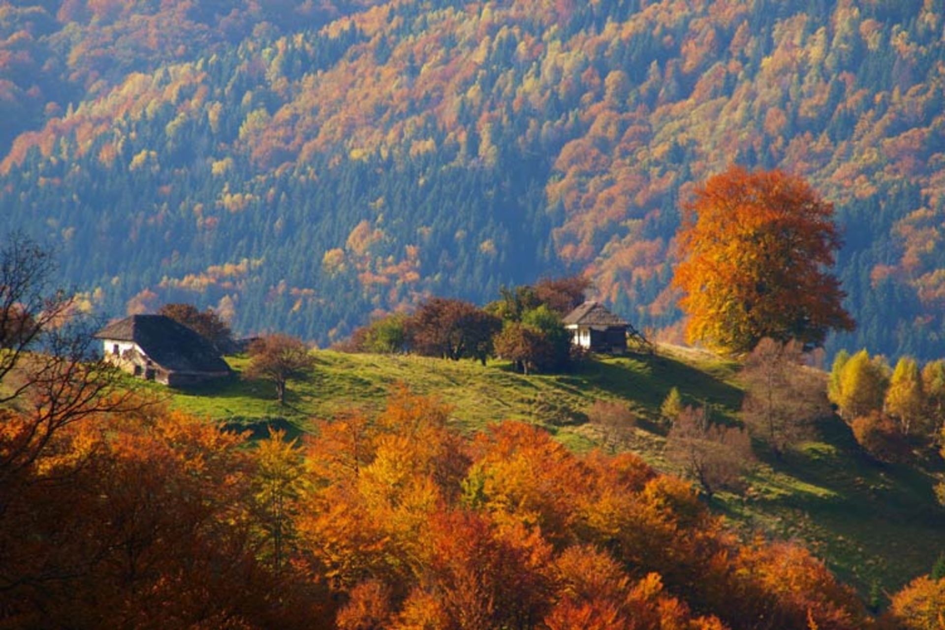 2015-11-maramures-the-carpathians-romania2