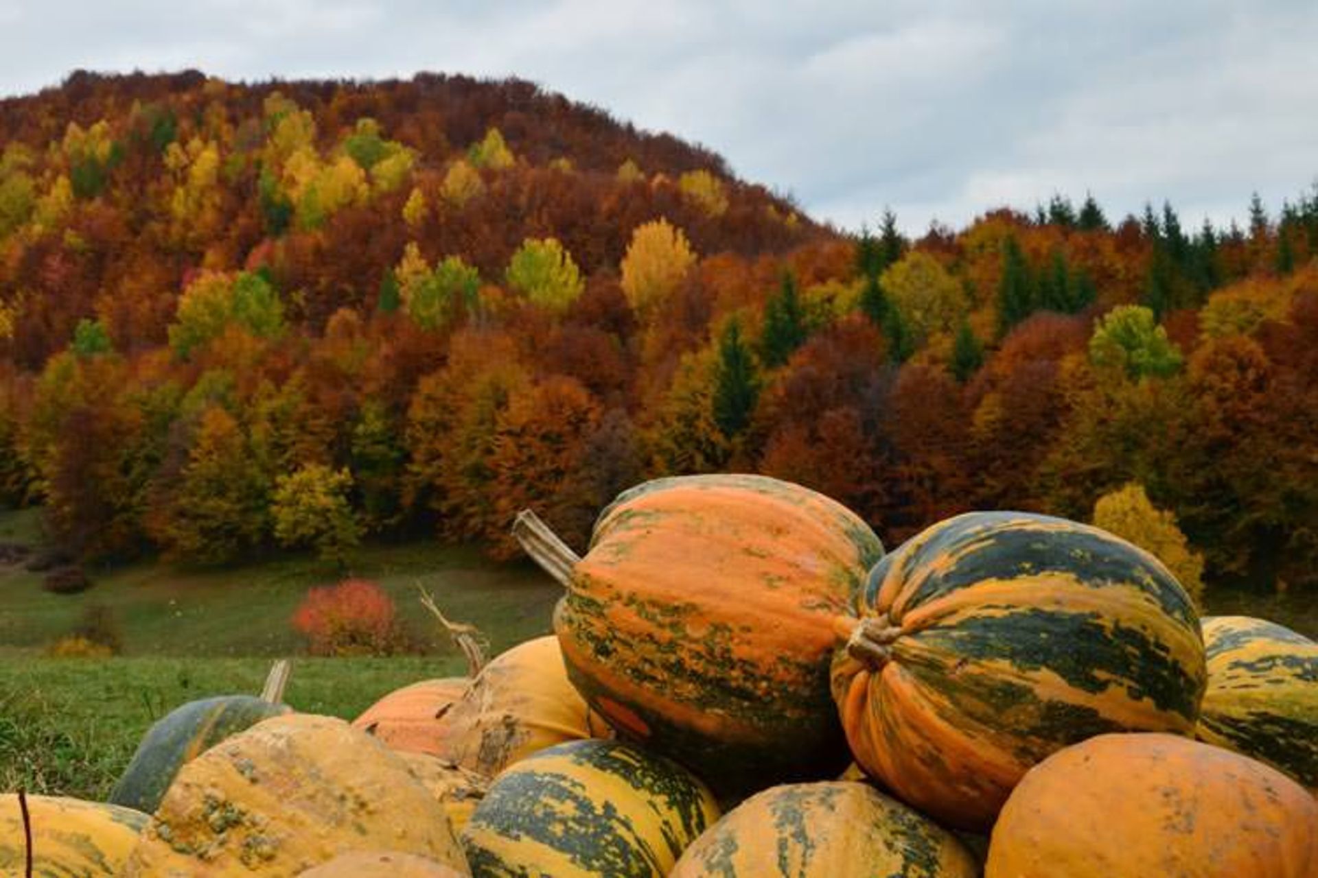 2015-11-maramures-the-carpathians-romania3