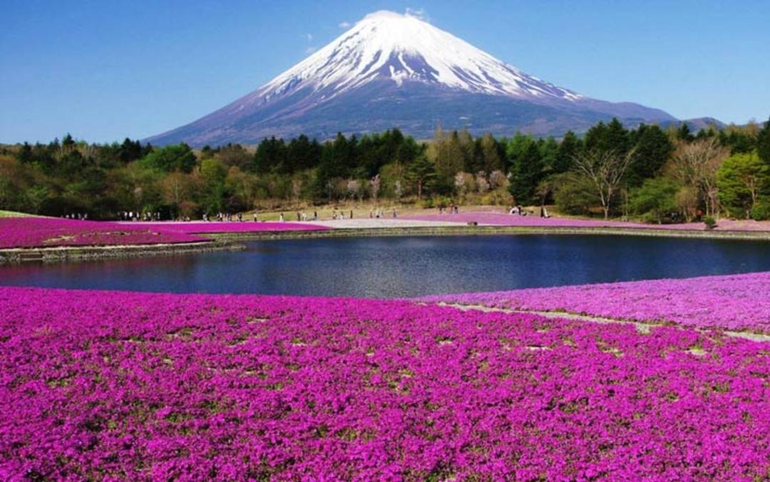 2015-11-mount-fuji-japan2